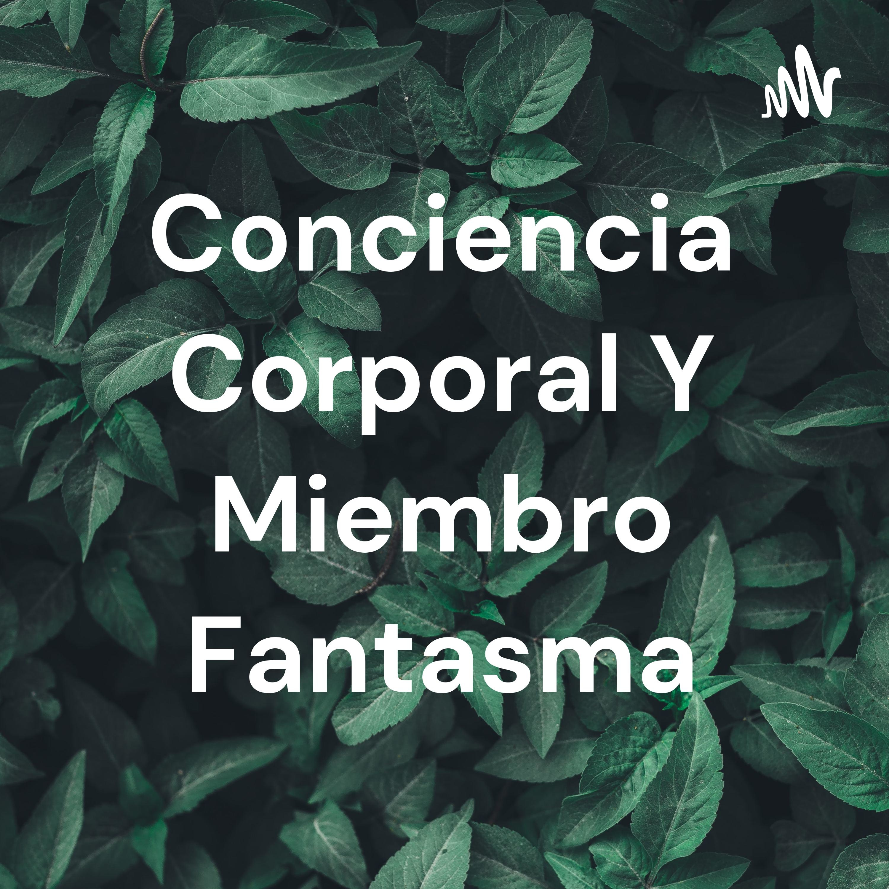Conciencia Corporal Y Miembro Fantasma
