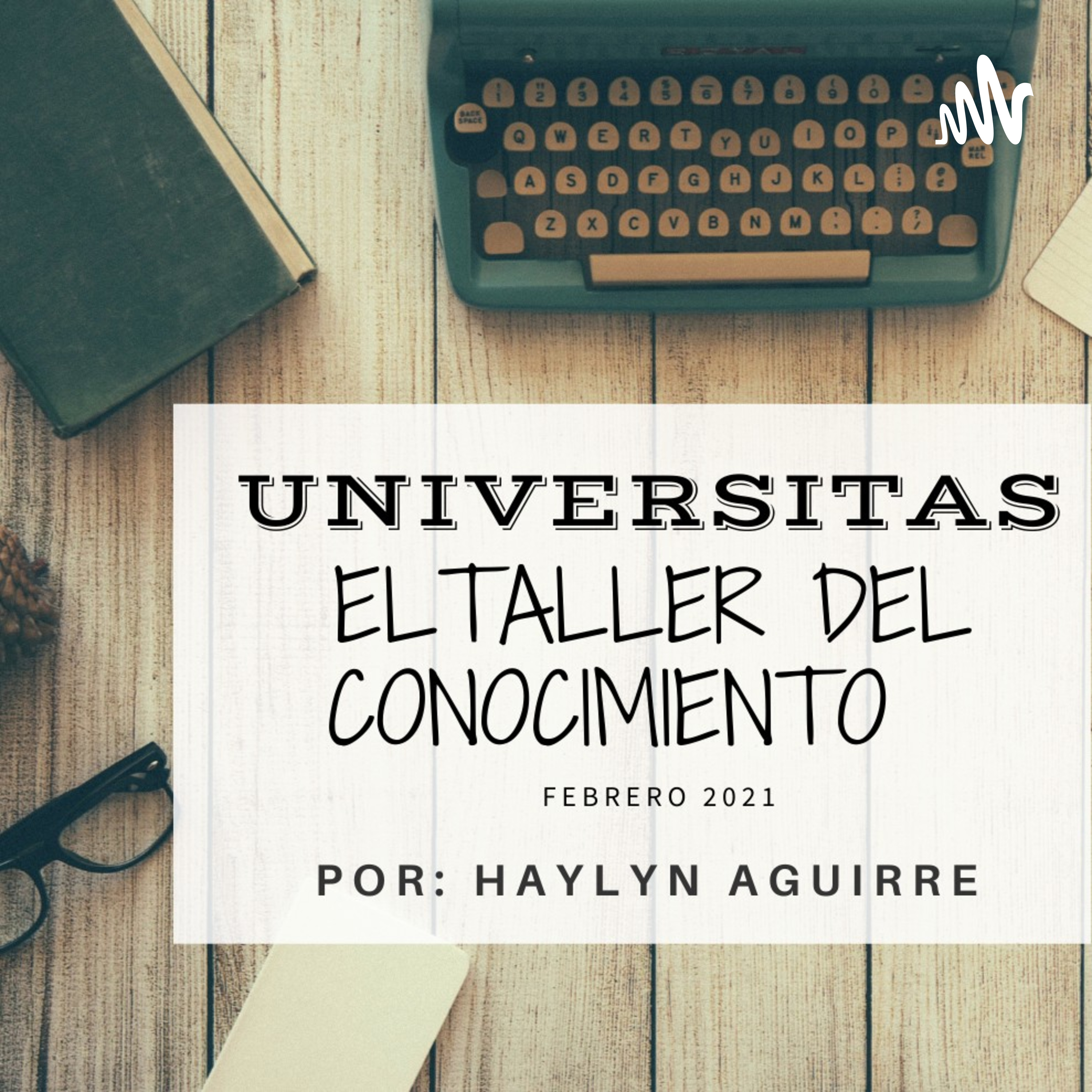  FASE I: La Metodología MEDSI