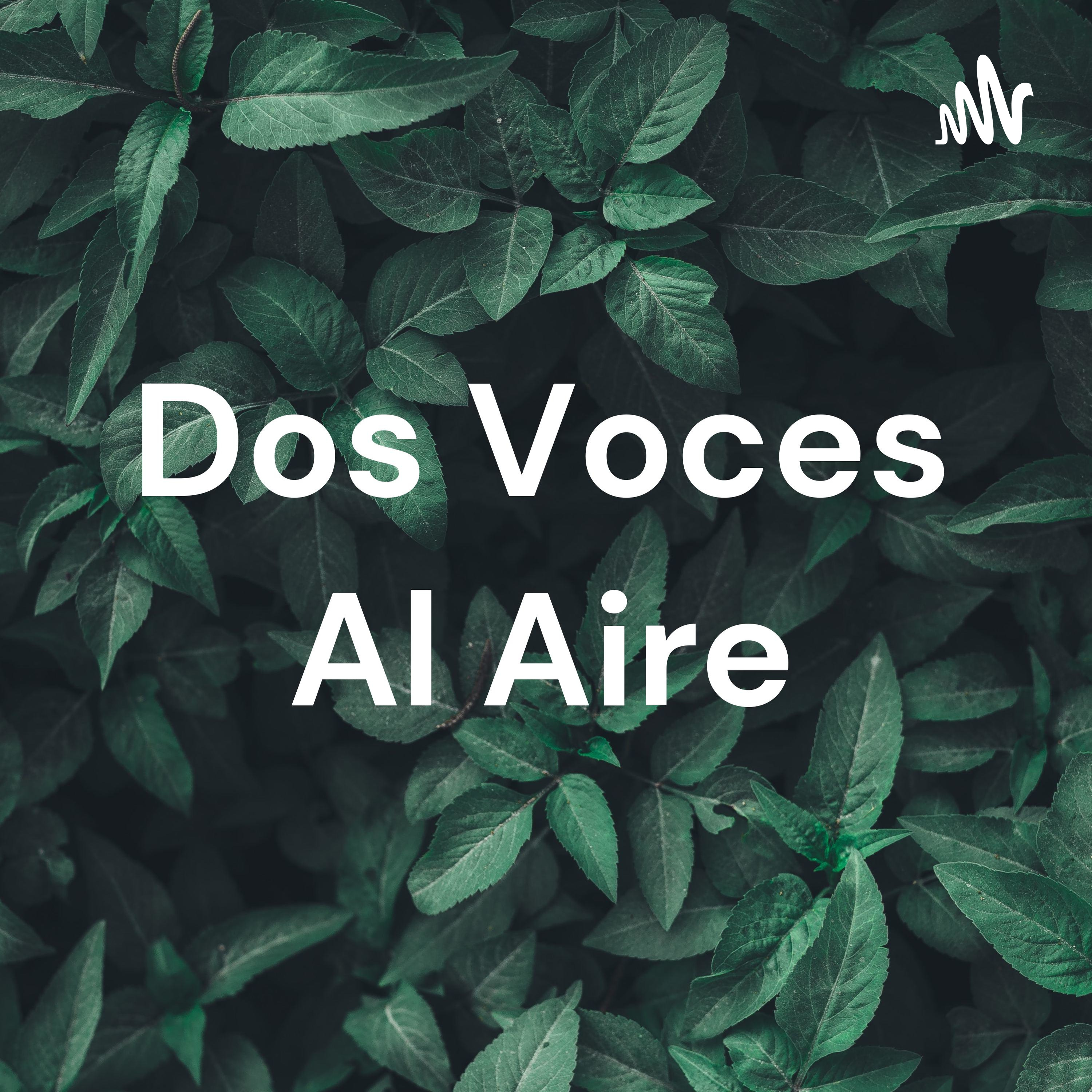 Dos Voces Al Aire
