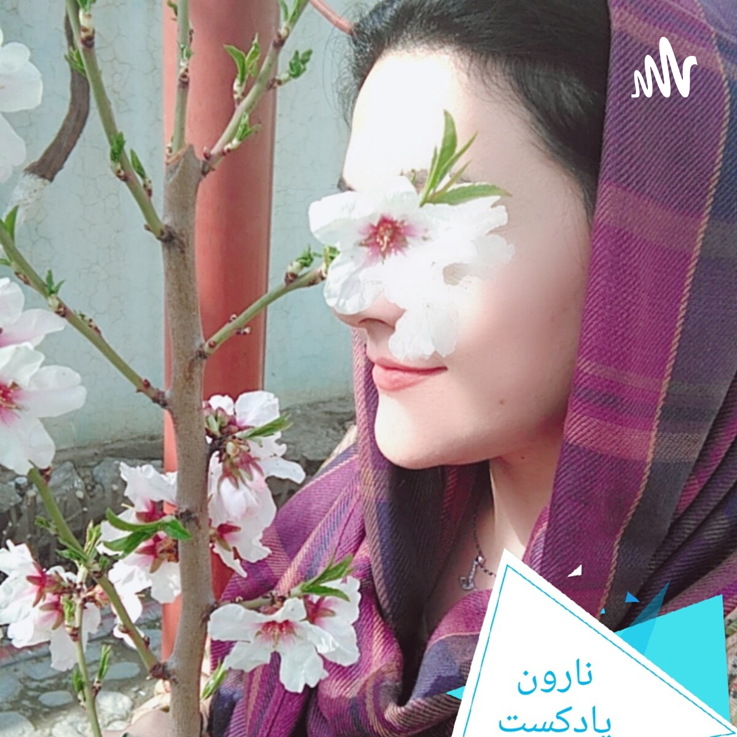 کاور نارون پادکست
