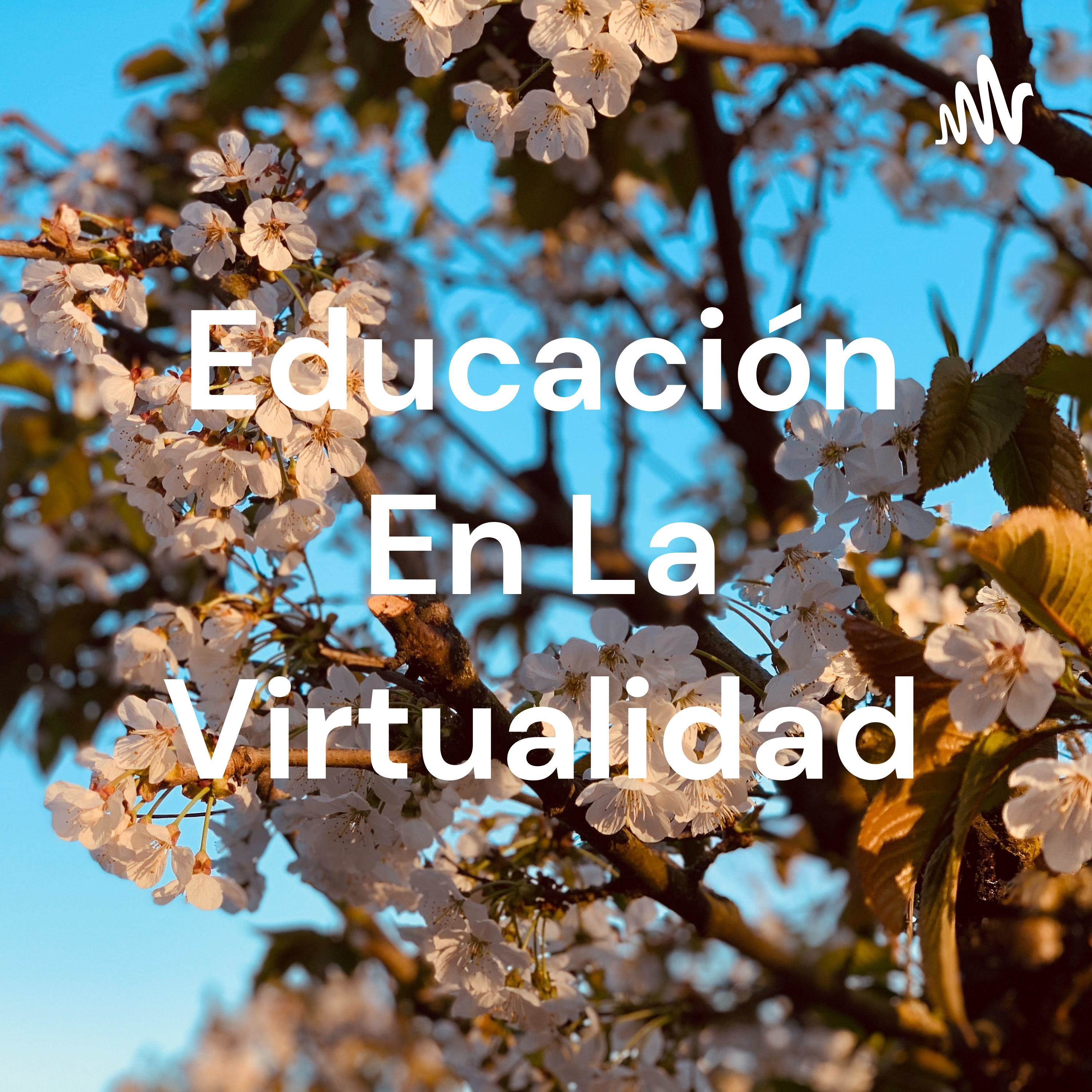 Educación En La Virtualidad cover art