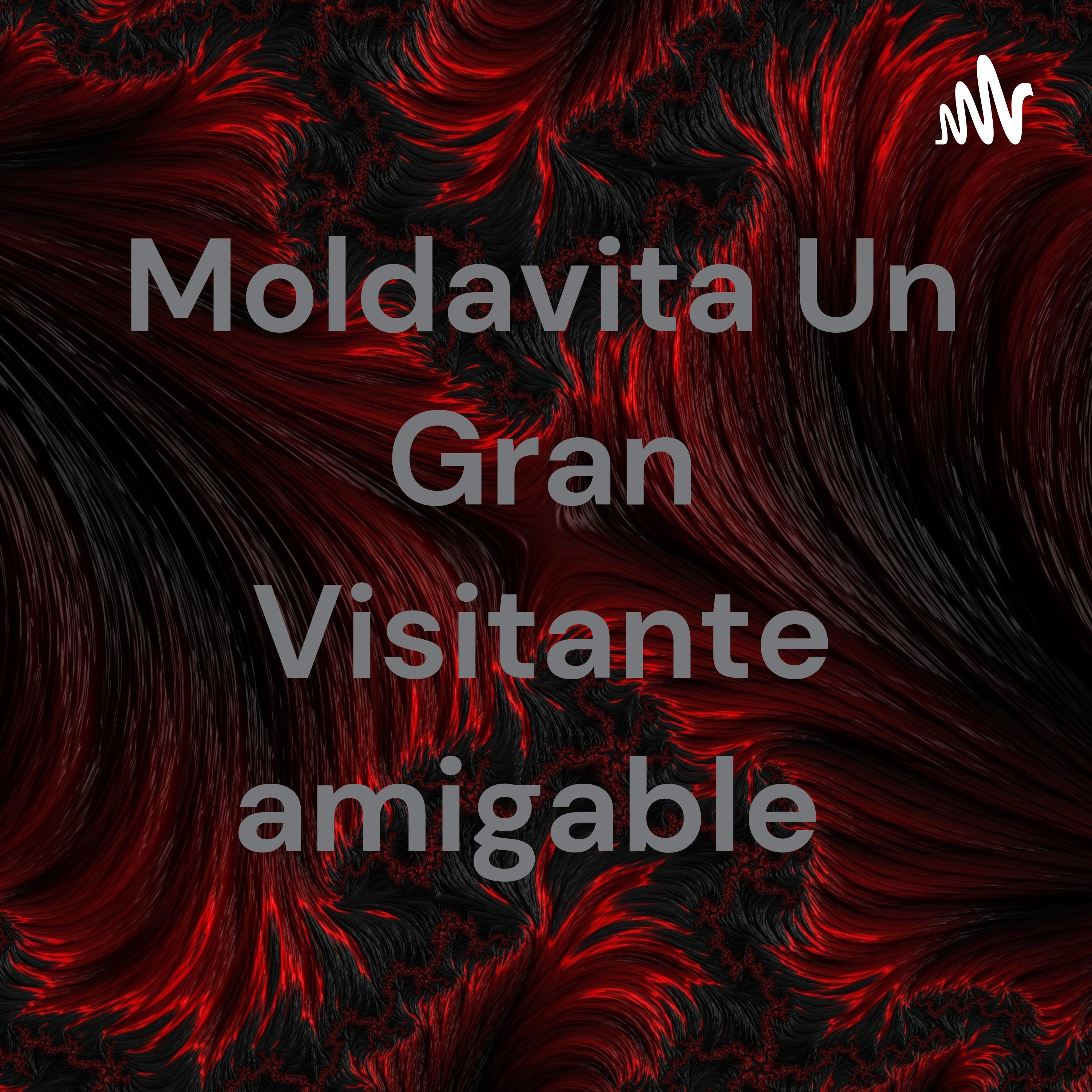 Moldavita Un Gran Visitante amigable 