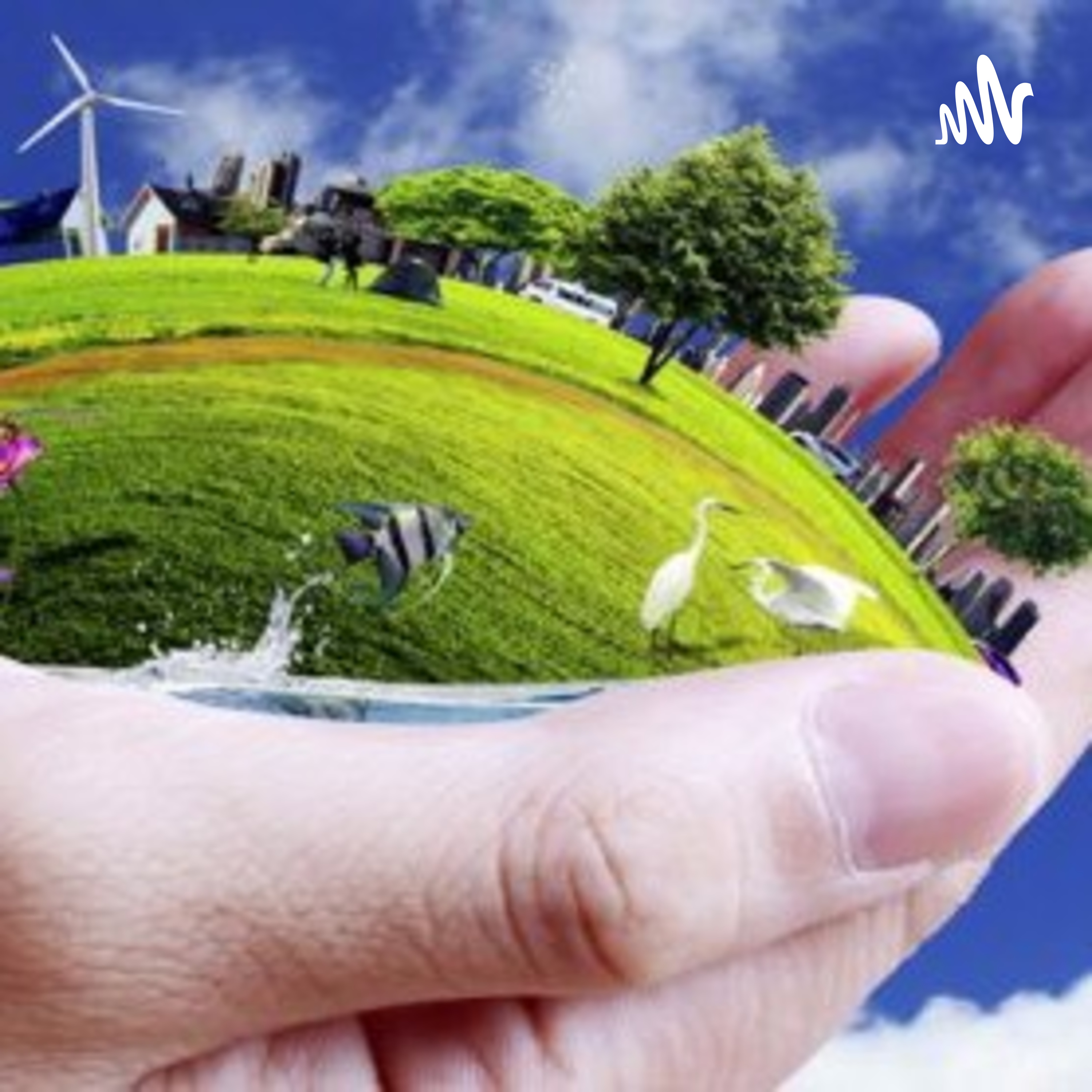Ecología y Gestión Ambiental