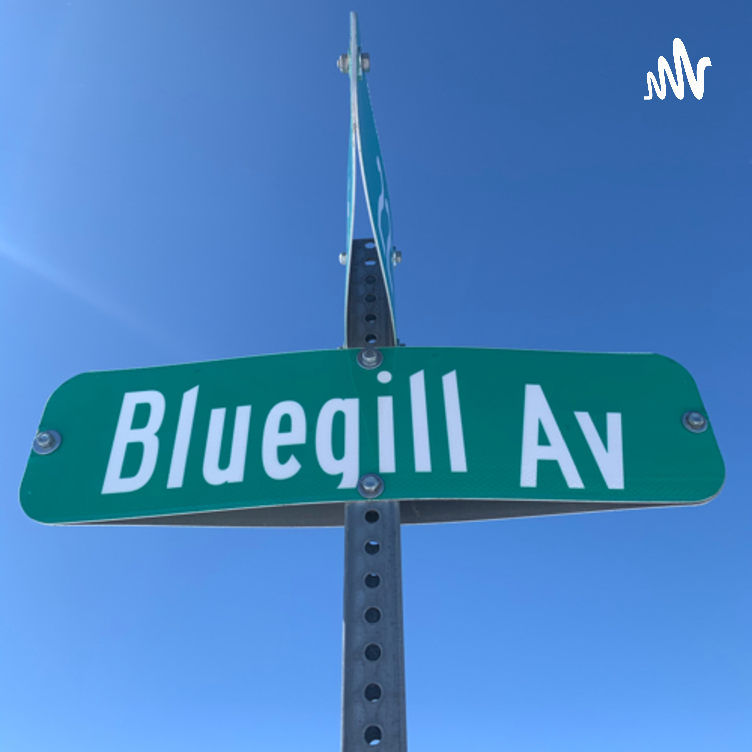 The Bluegill Report podcast artwork