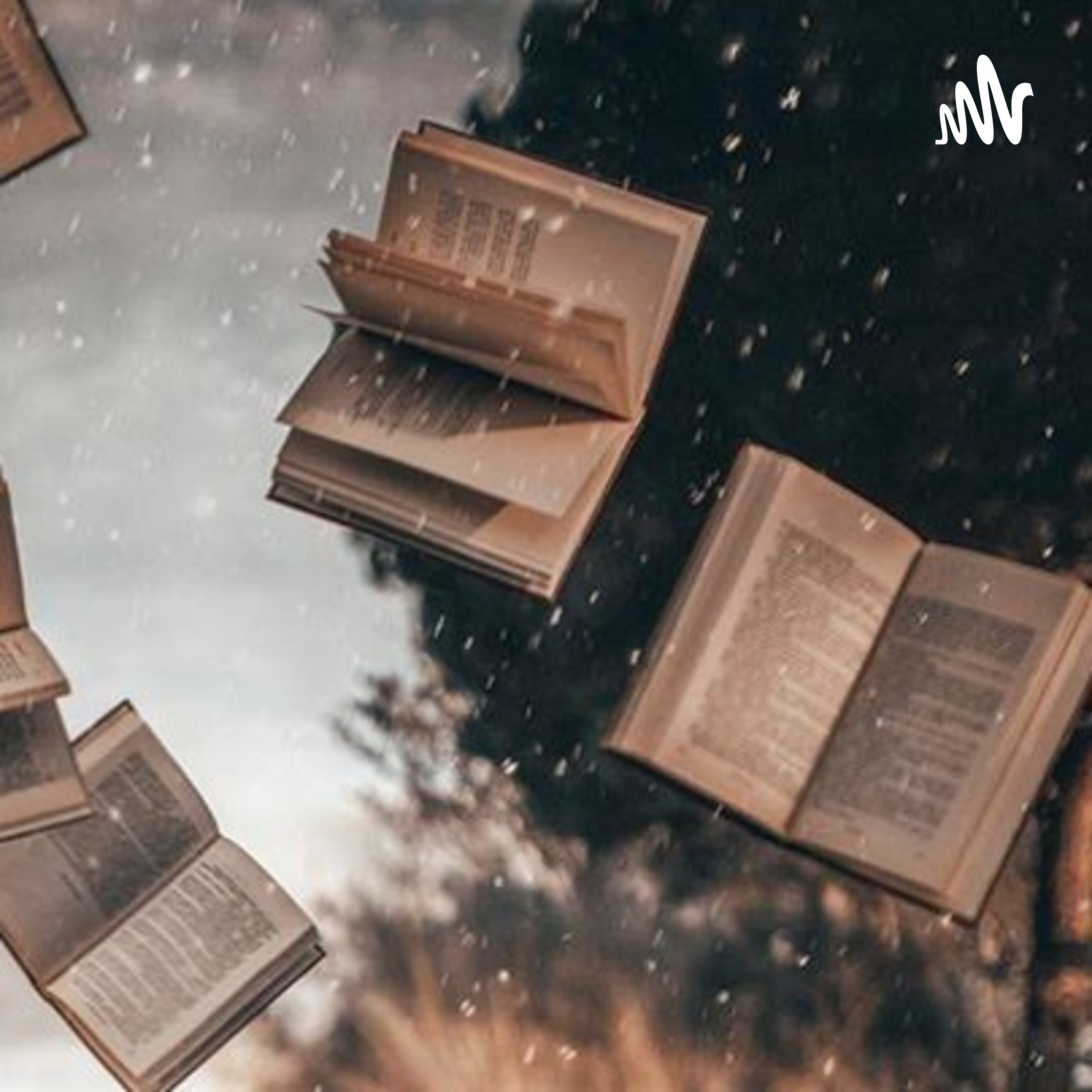 Meus Livros