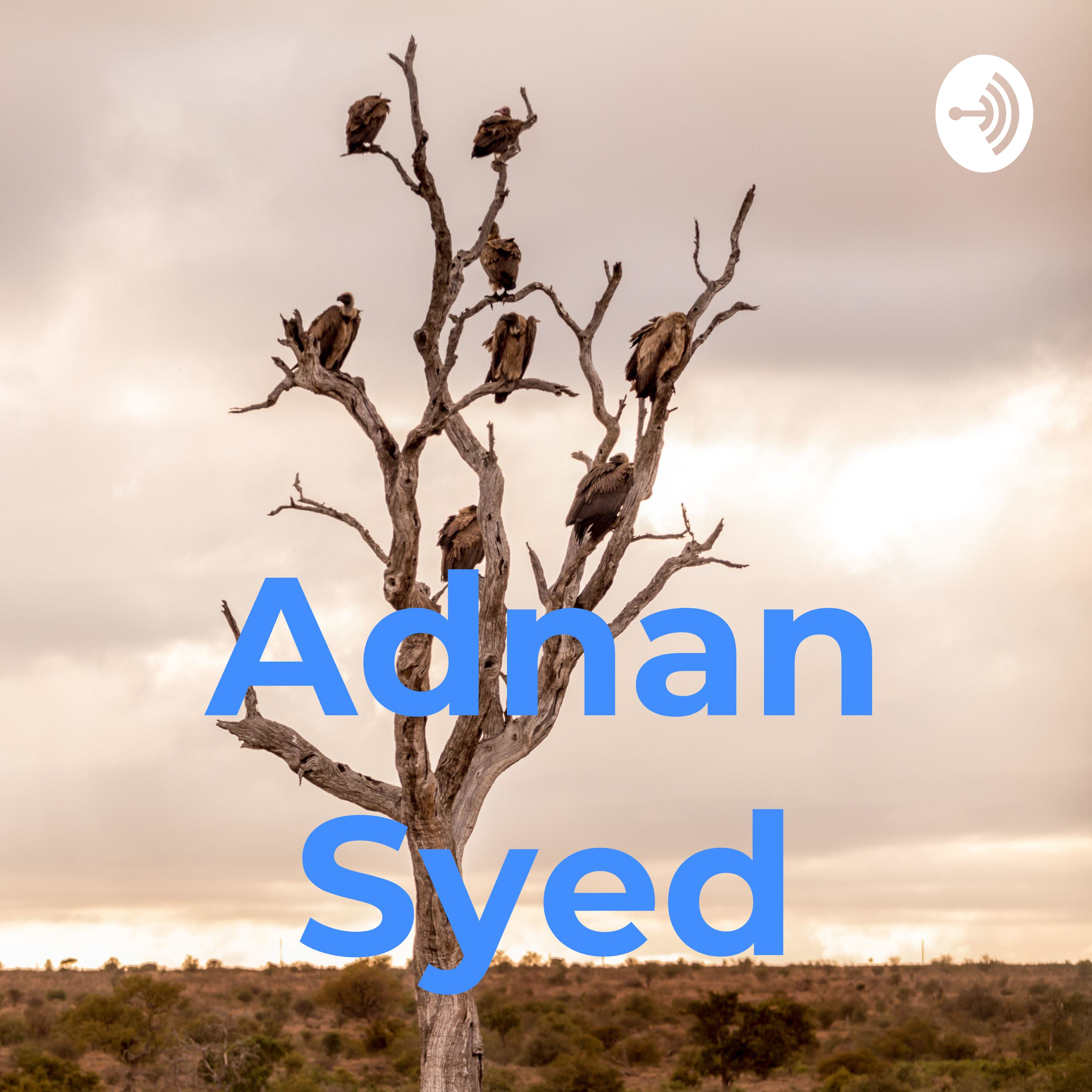 Adnan Syed:Sebastian kler