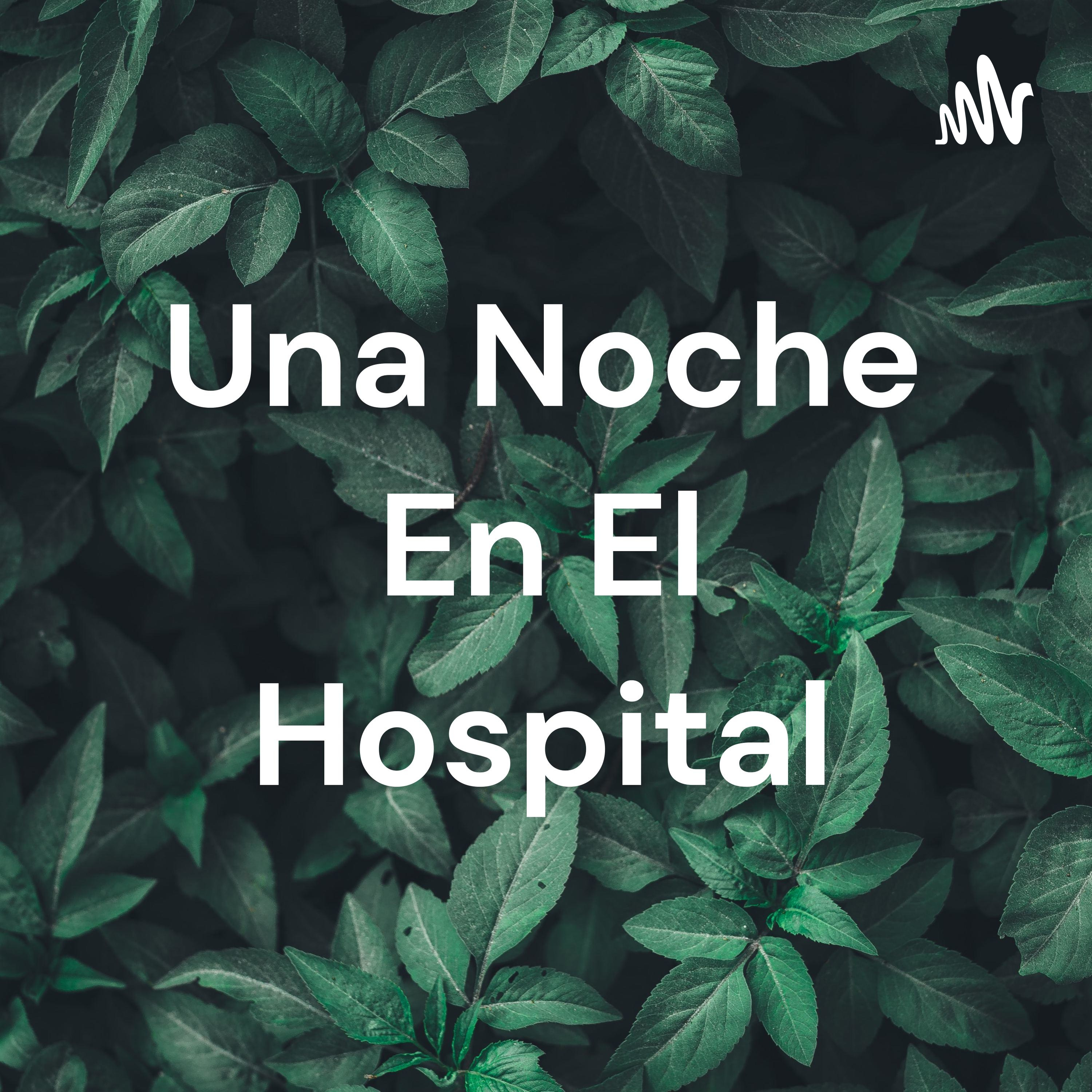 Una Noche En El Hospital