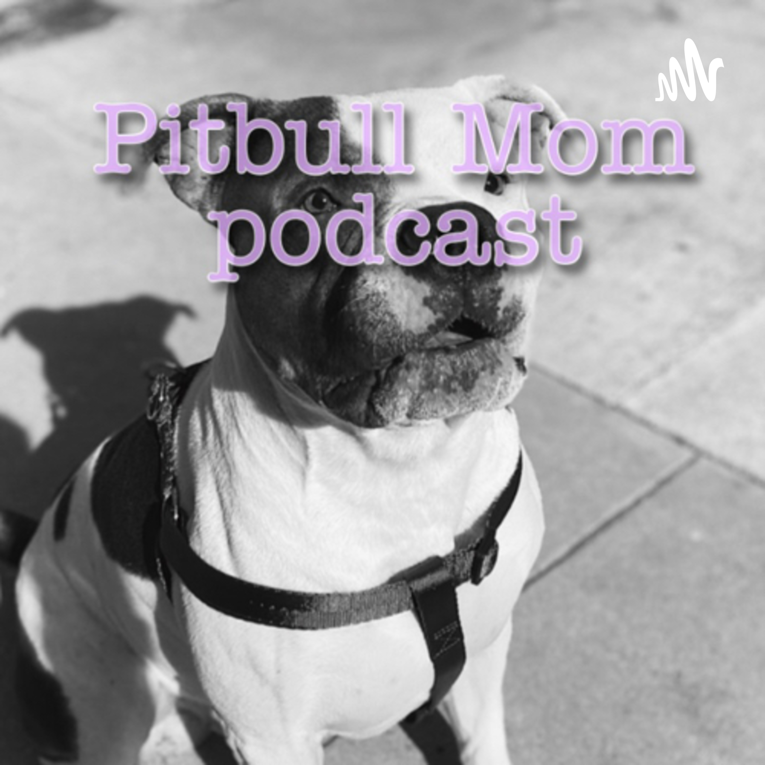 Pitbull Mom Podcast