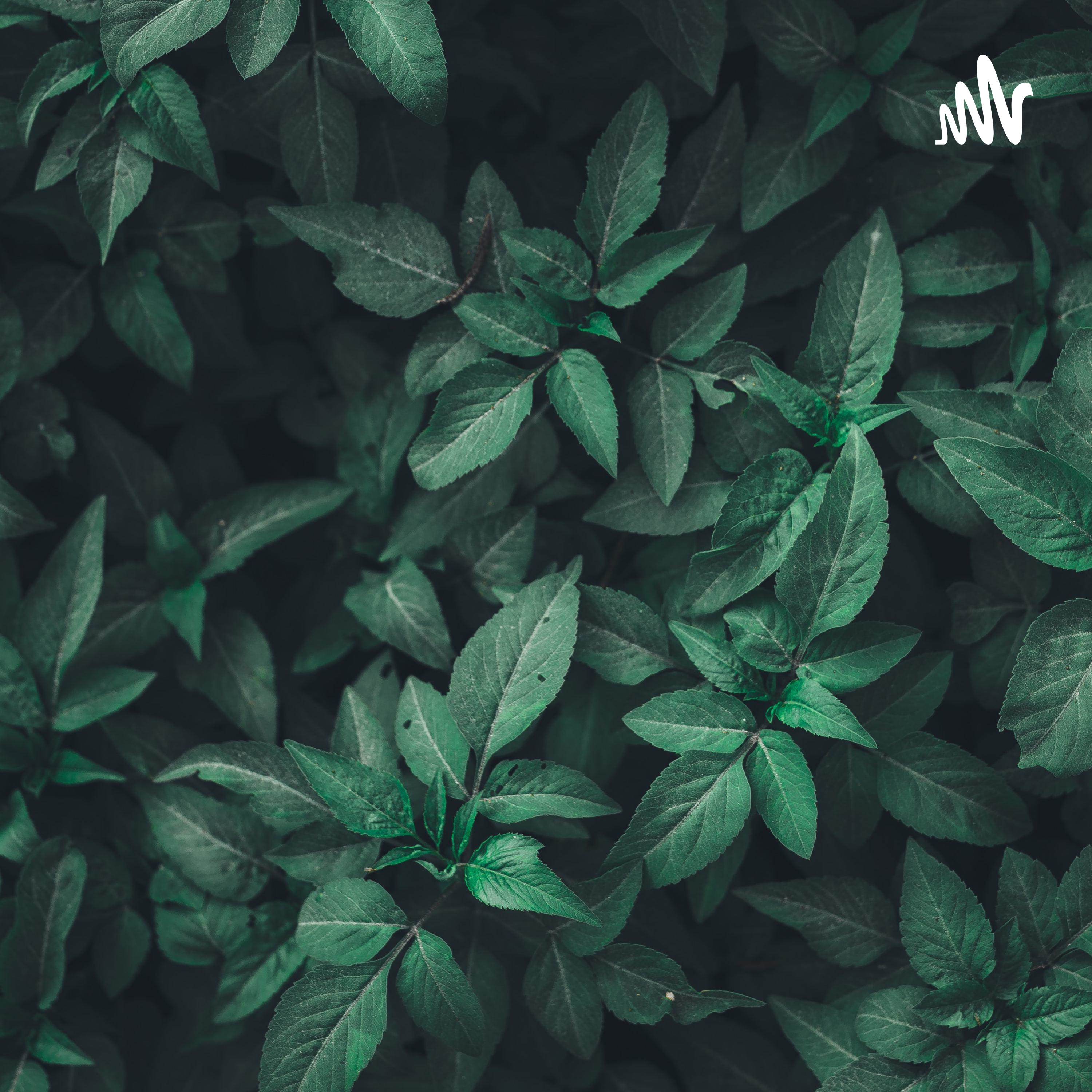 Test setup with relaxing water sounds 