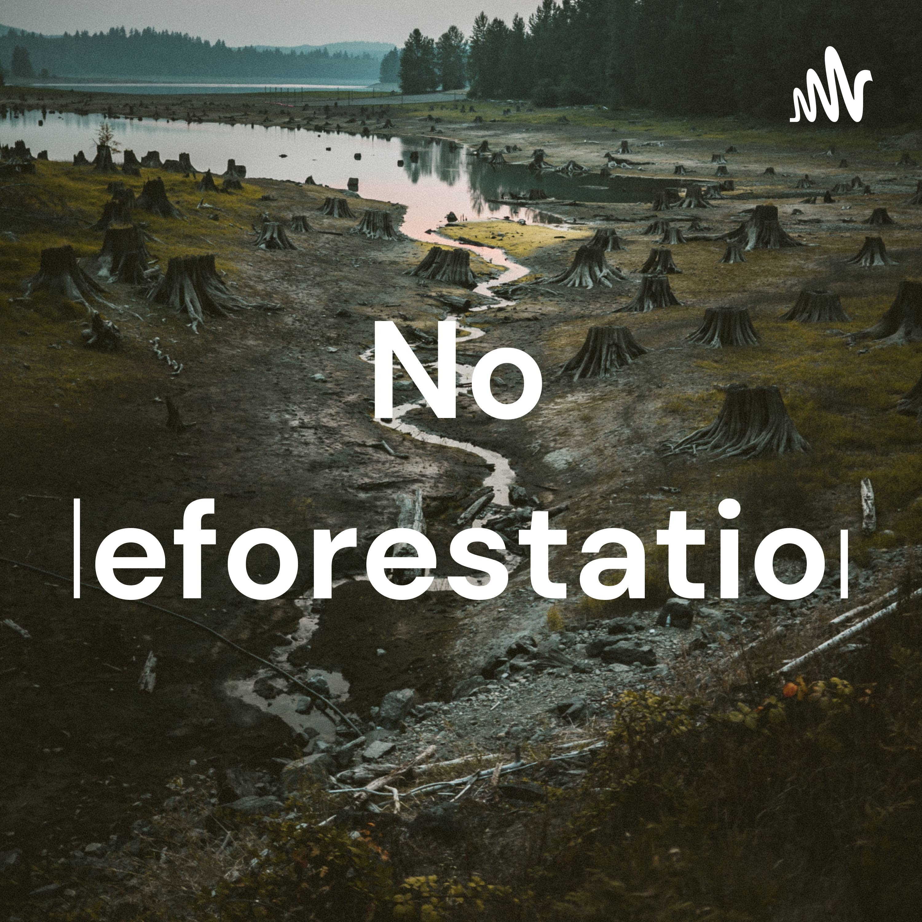 No deforestation