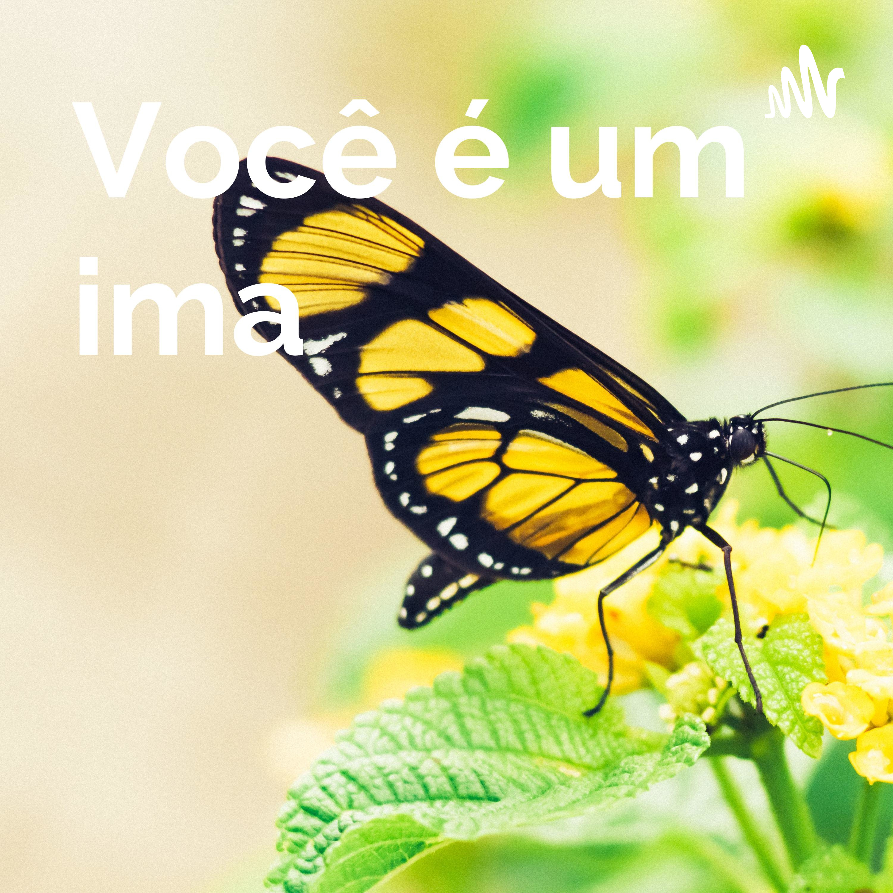 Você é um ima 👈