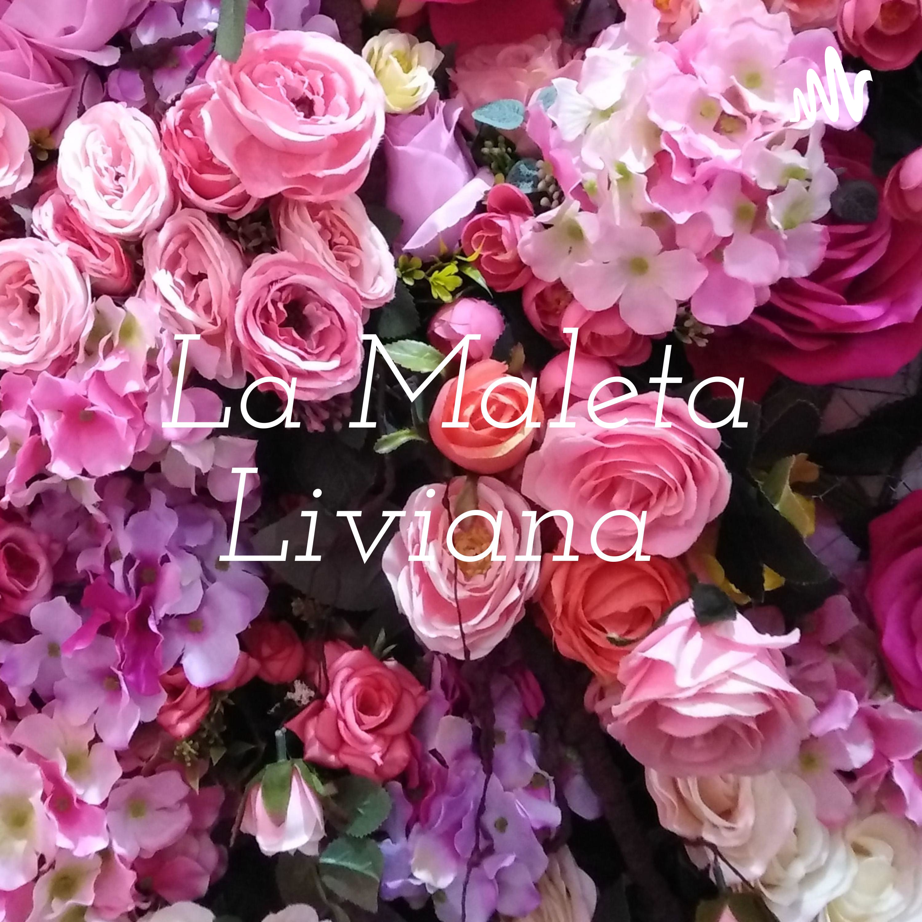 La Maleta Liviana 