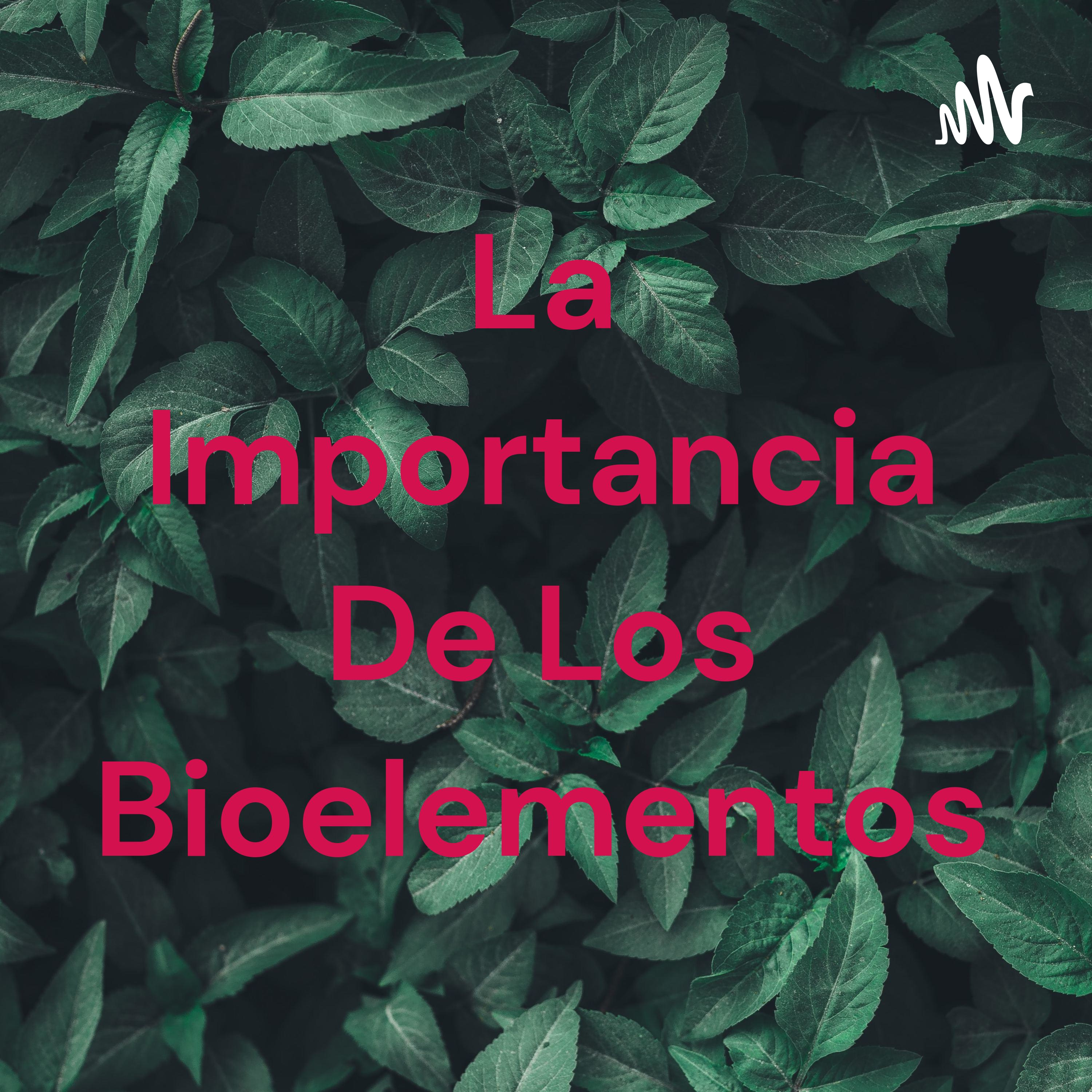La Importancia De Los Bioelementos