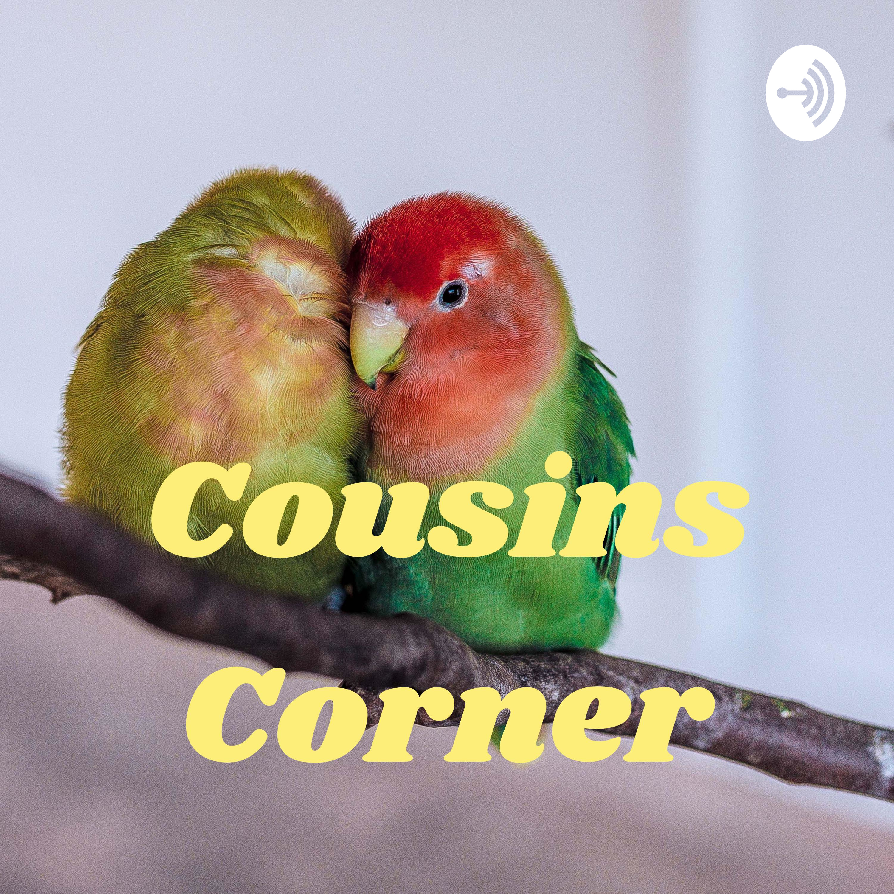 Cousins Corner