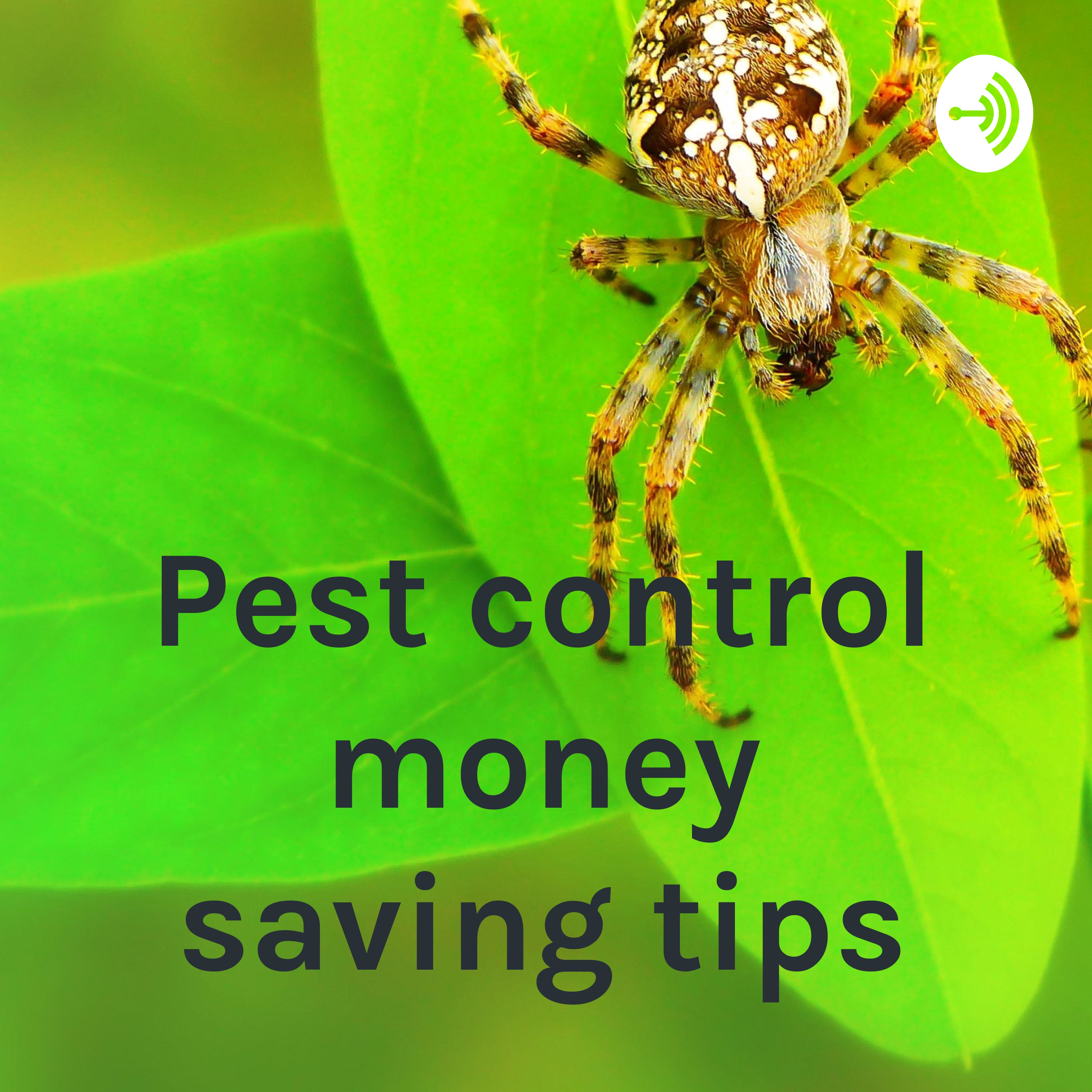 Pest control money saving tips