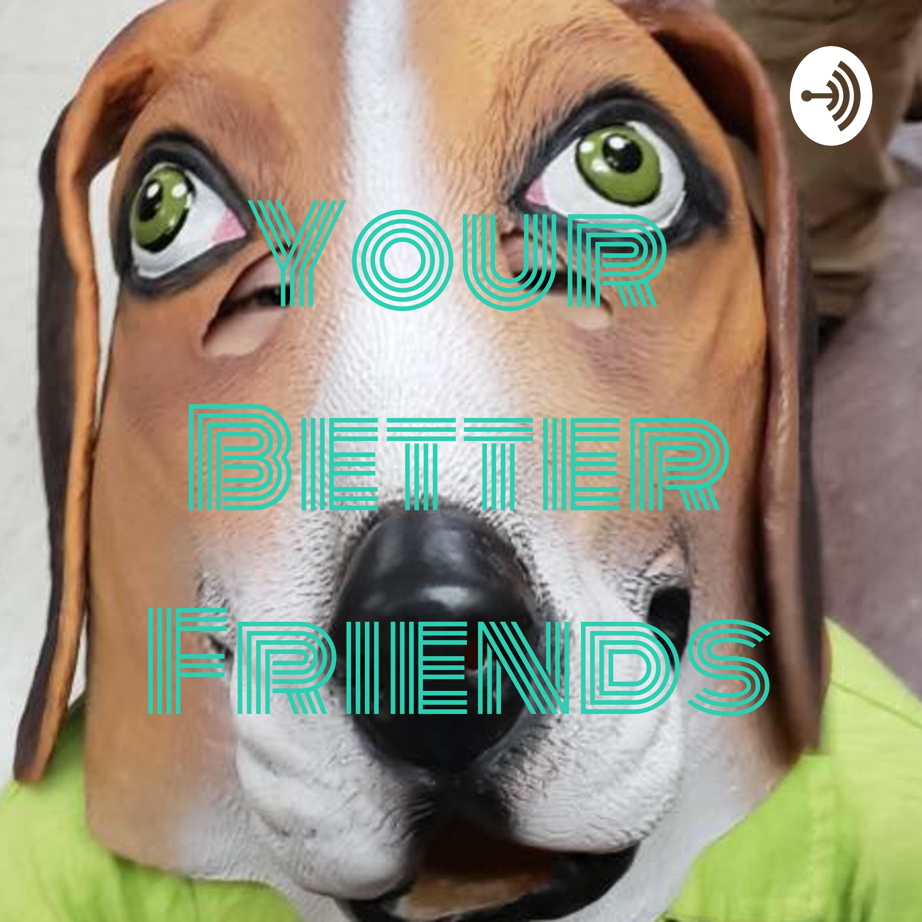 8. Your Better Friends: 76 Questions Not To Ask Anyone Ever