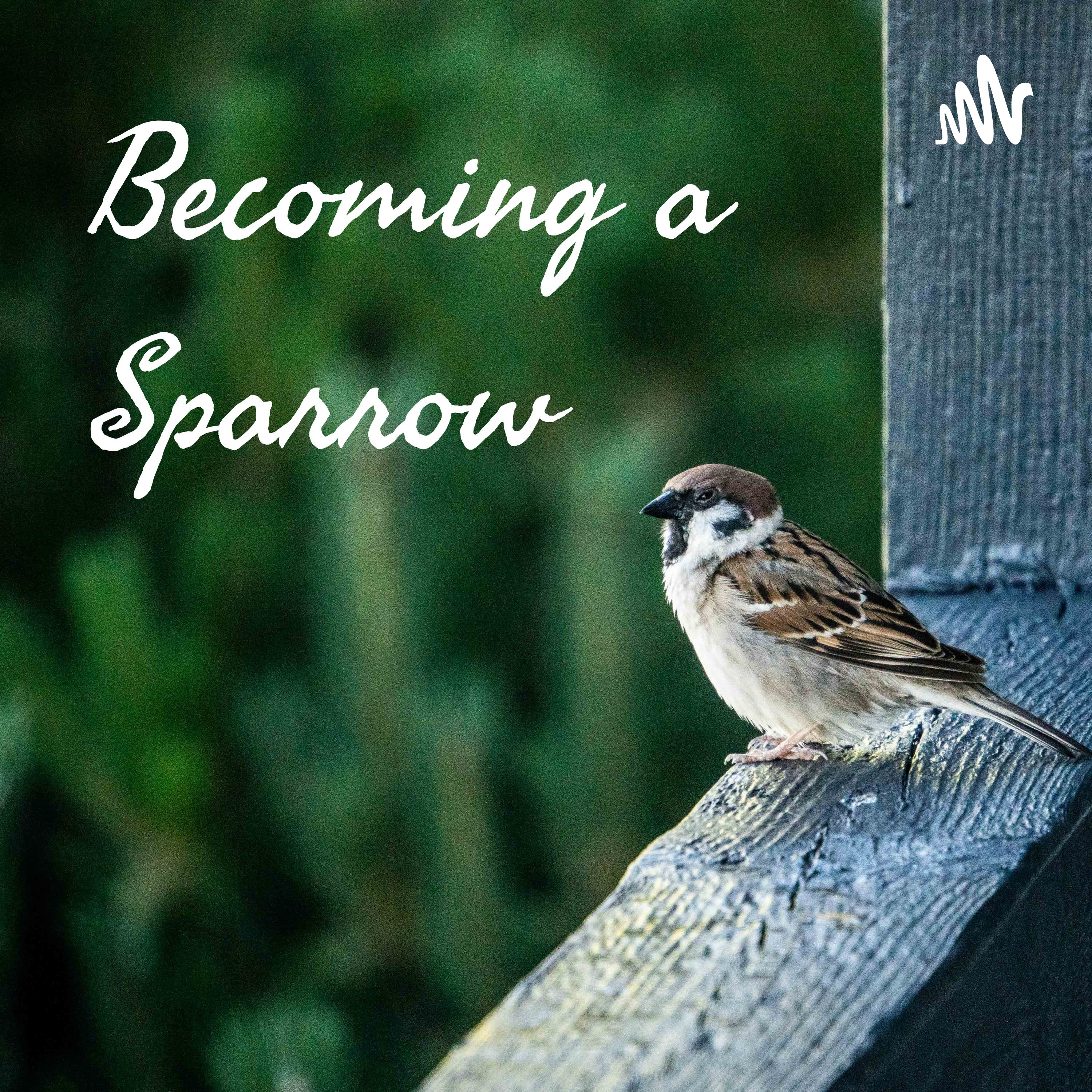 Becoming a Sparrow 