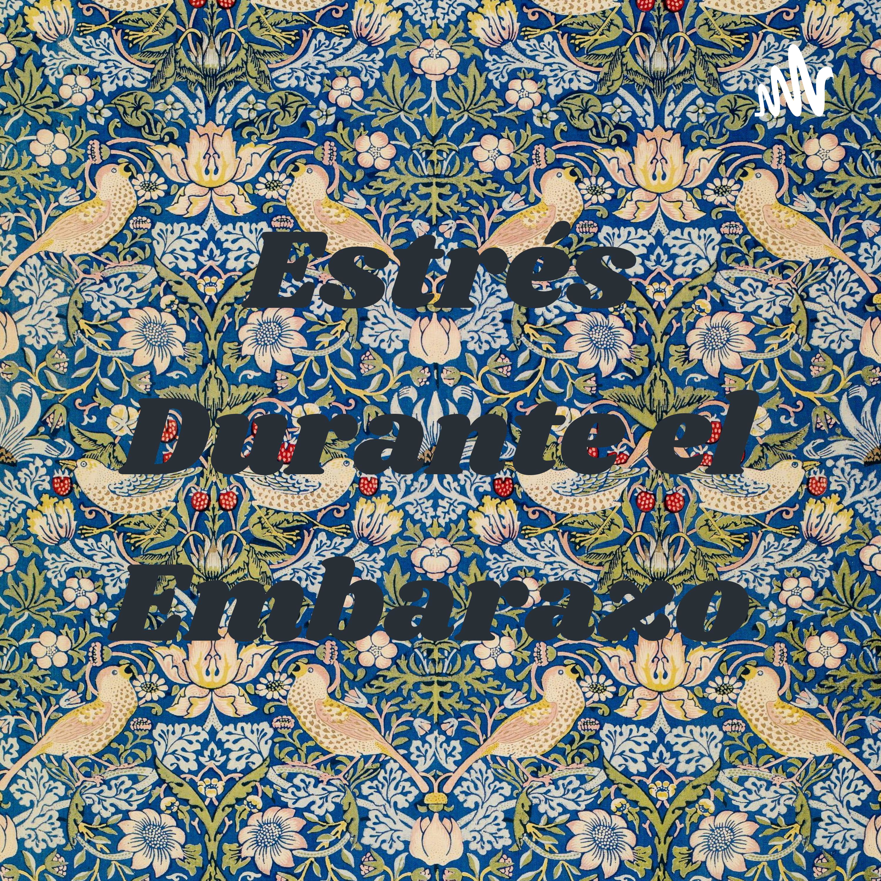 Estrés Durante el Embarazo