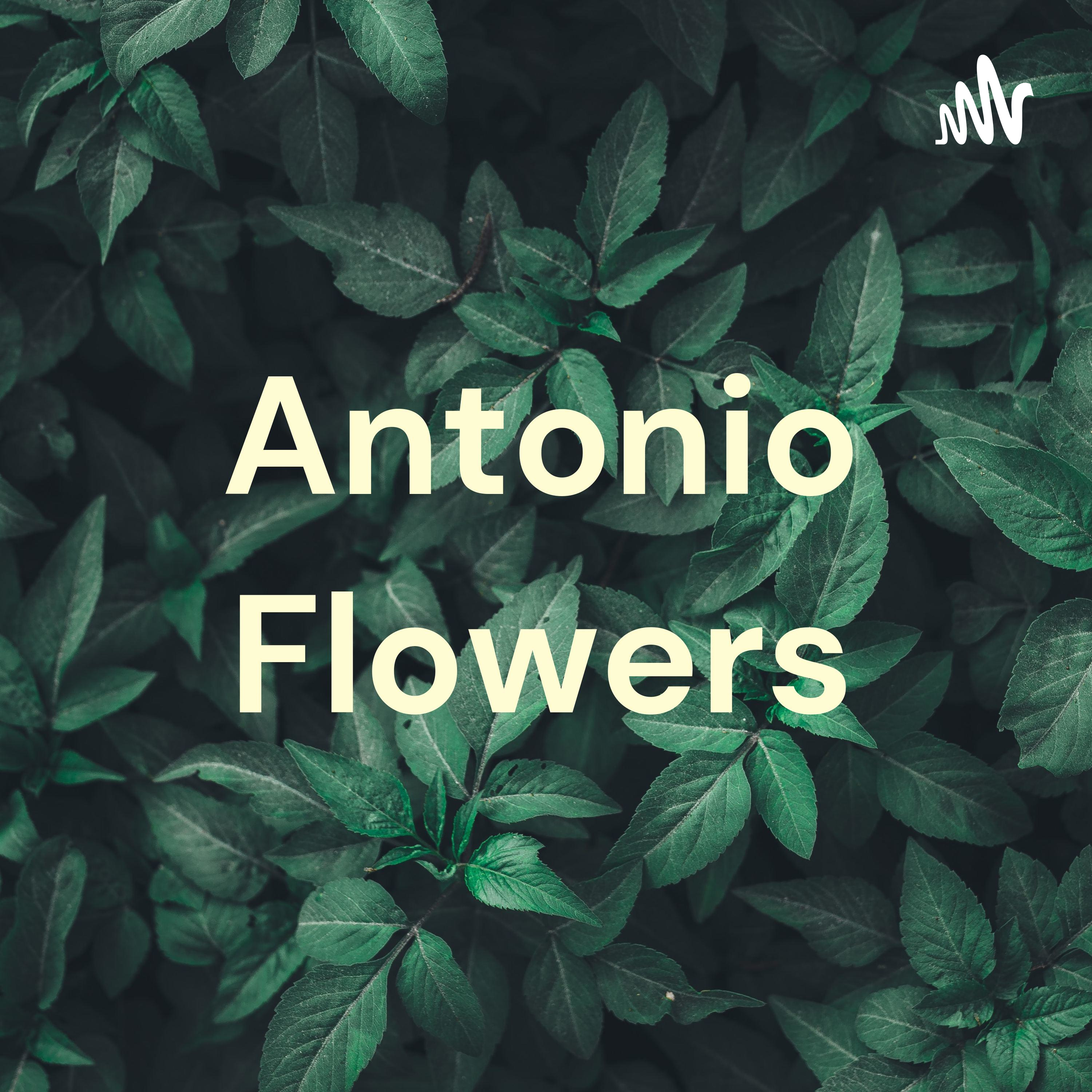 Antonio Flowers