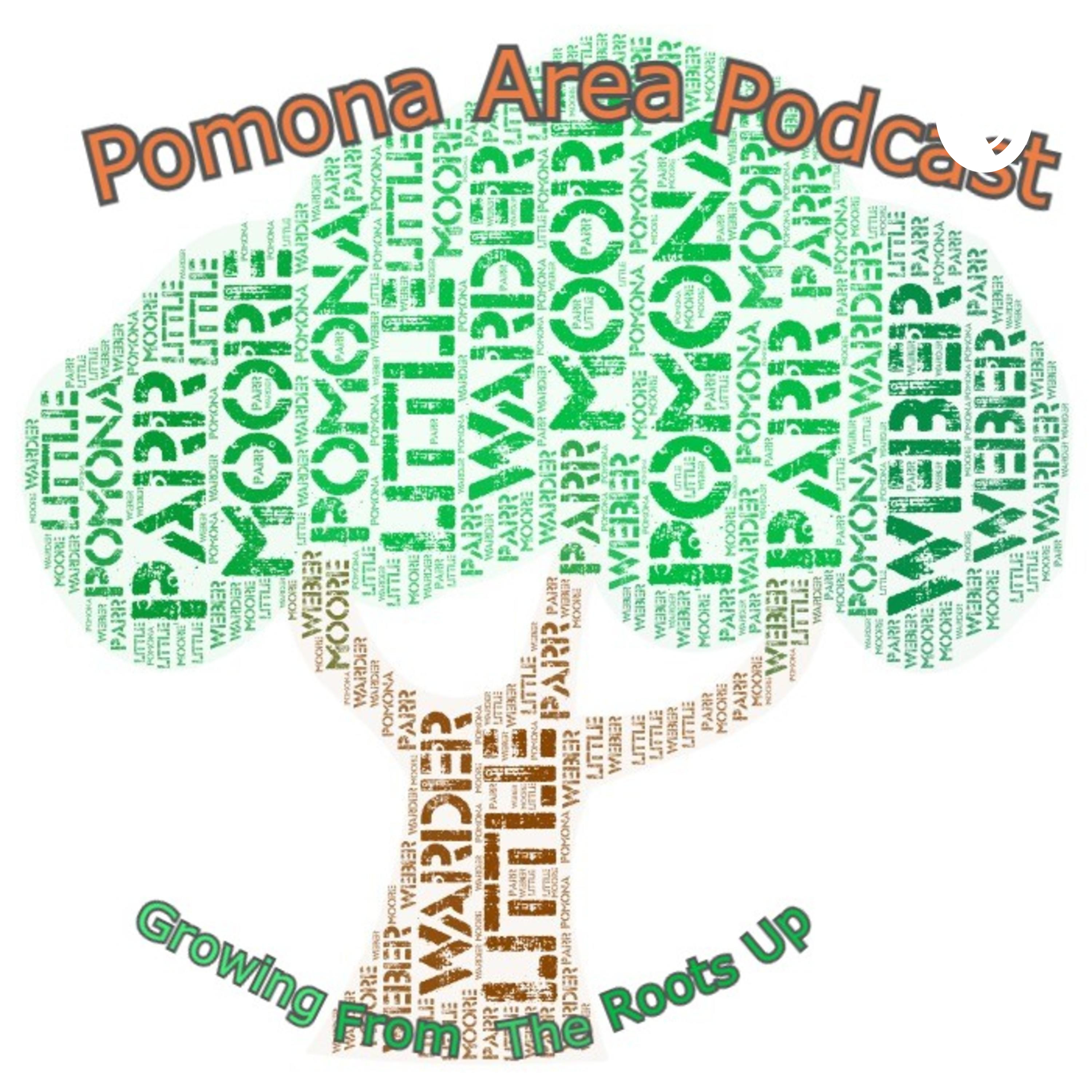 Pomona Area Podcast - Stutzman to State
