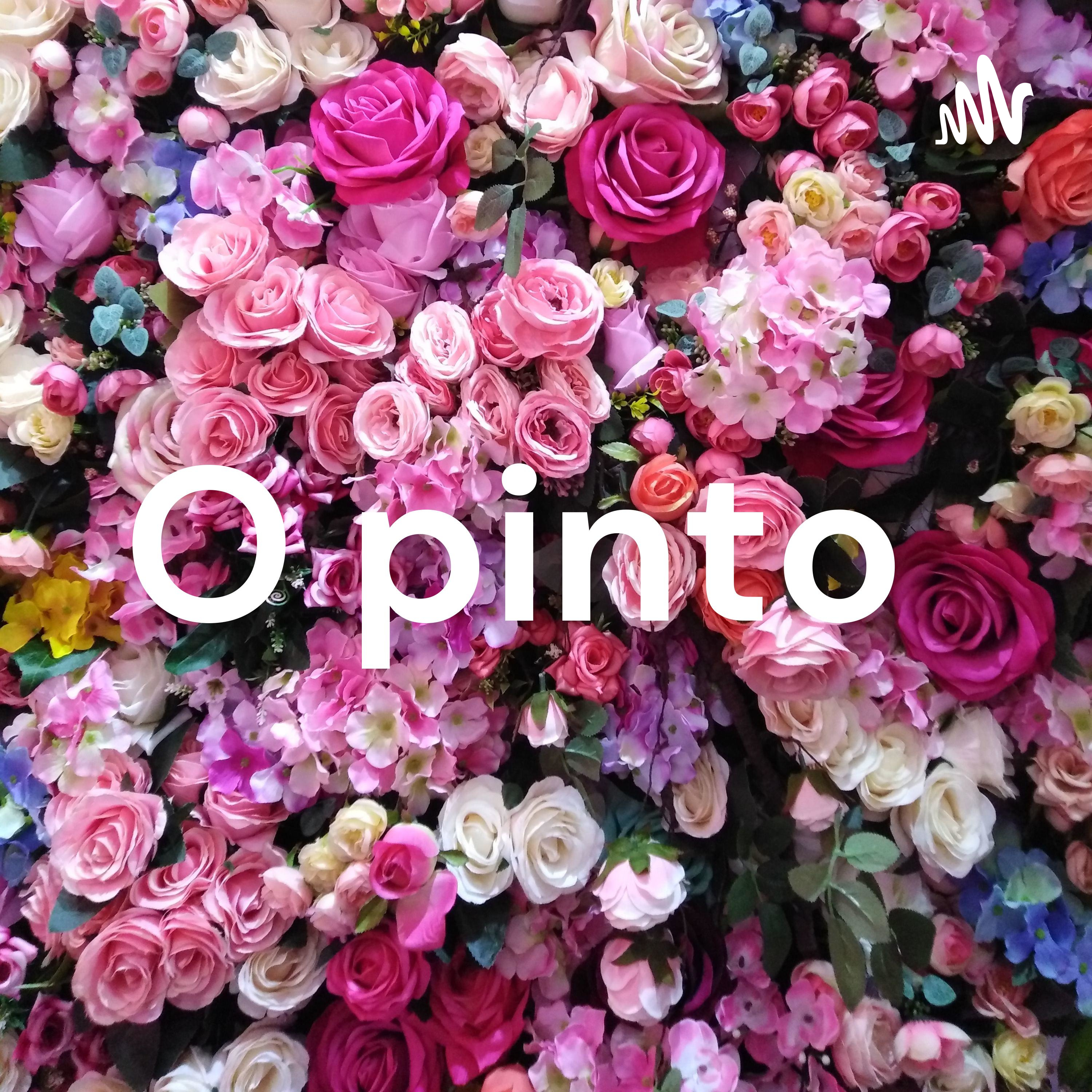 O pinto 