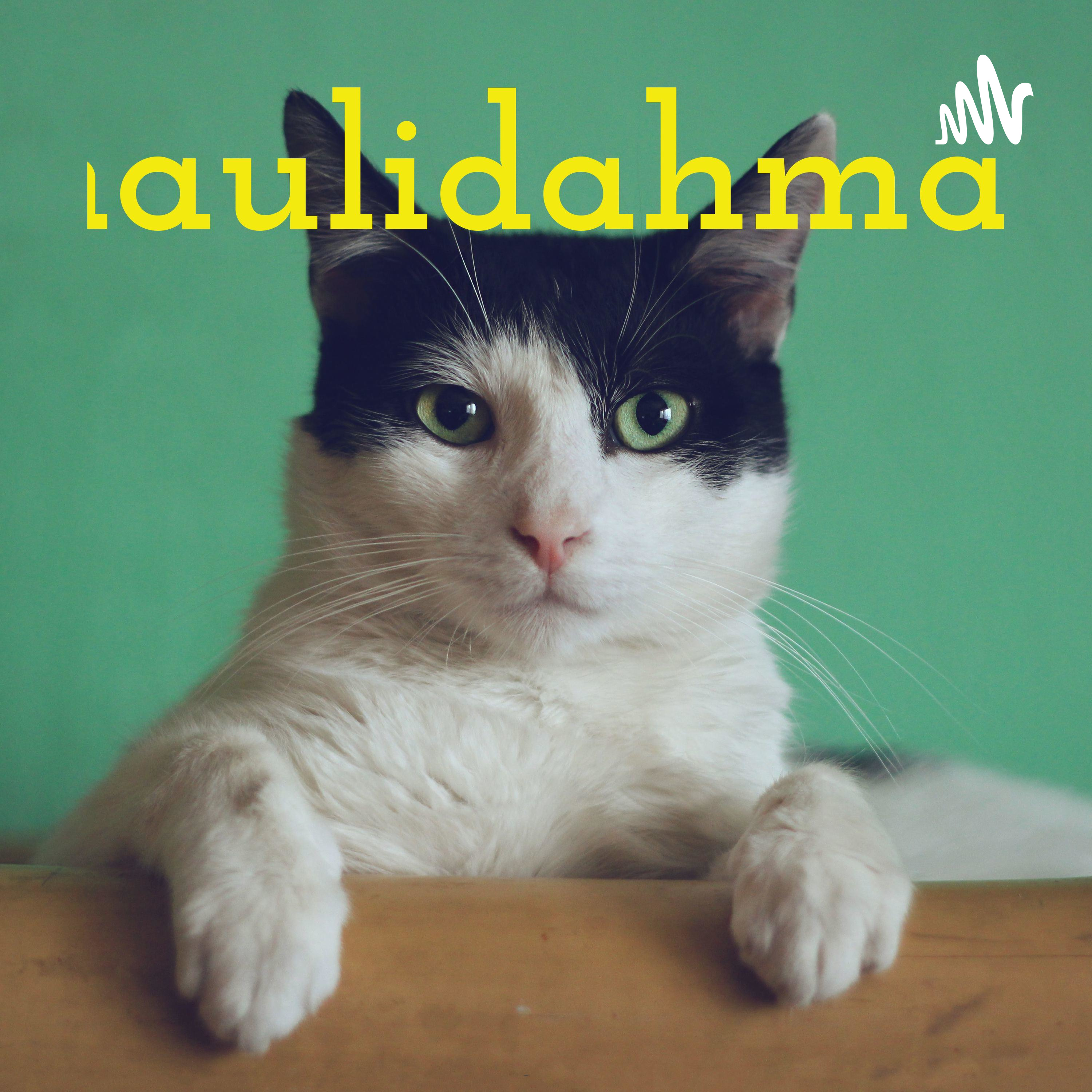 maulidahmau