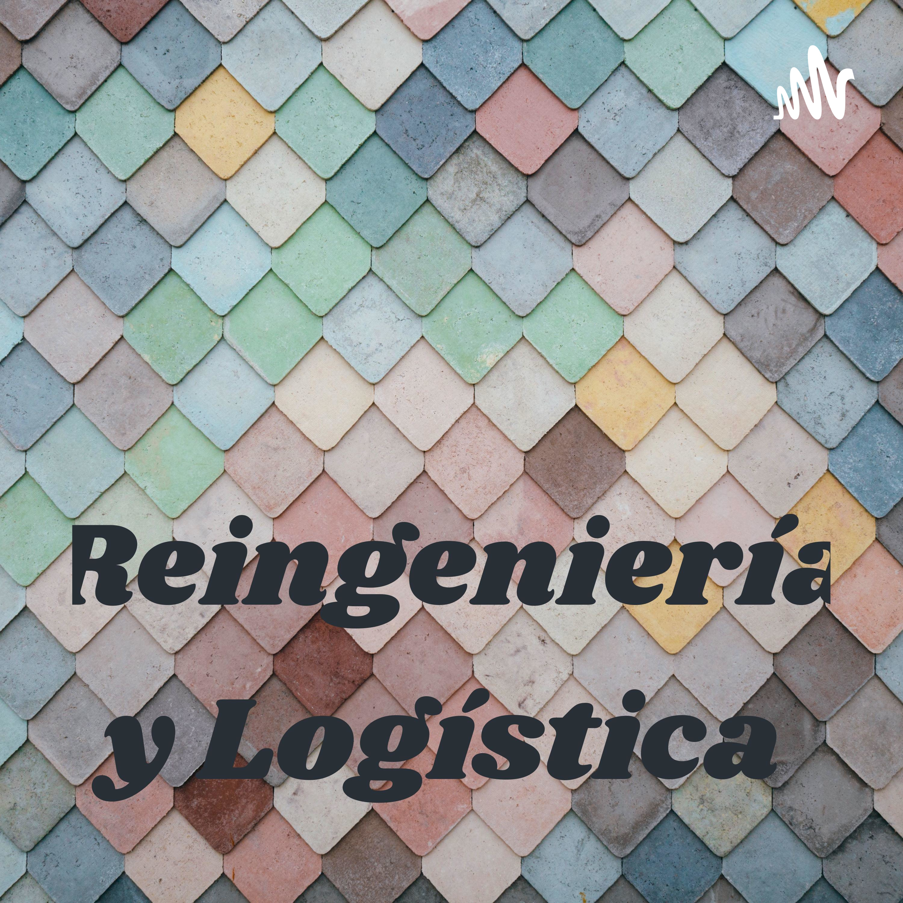 Reingeniería y Logística 