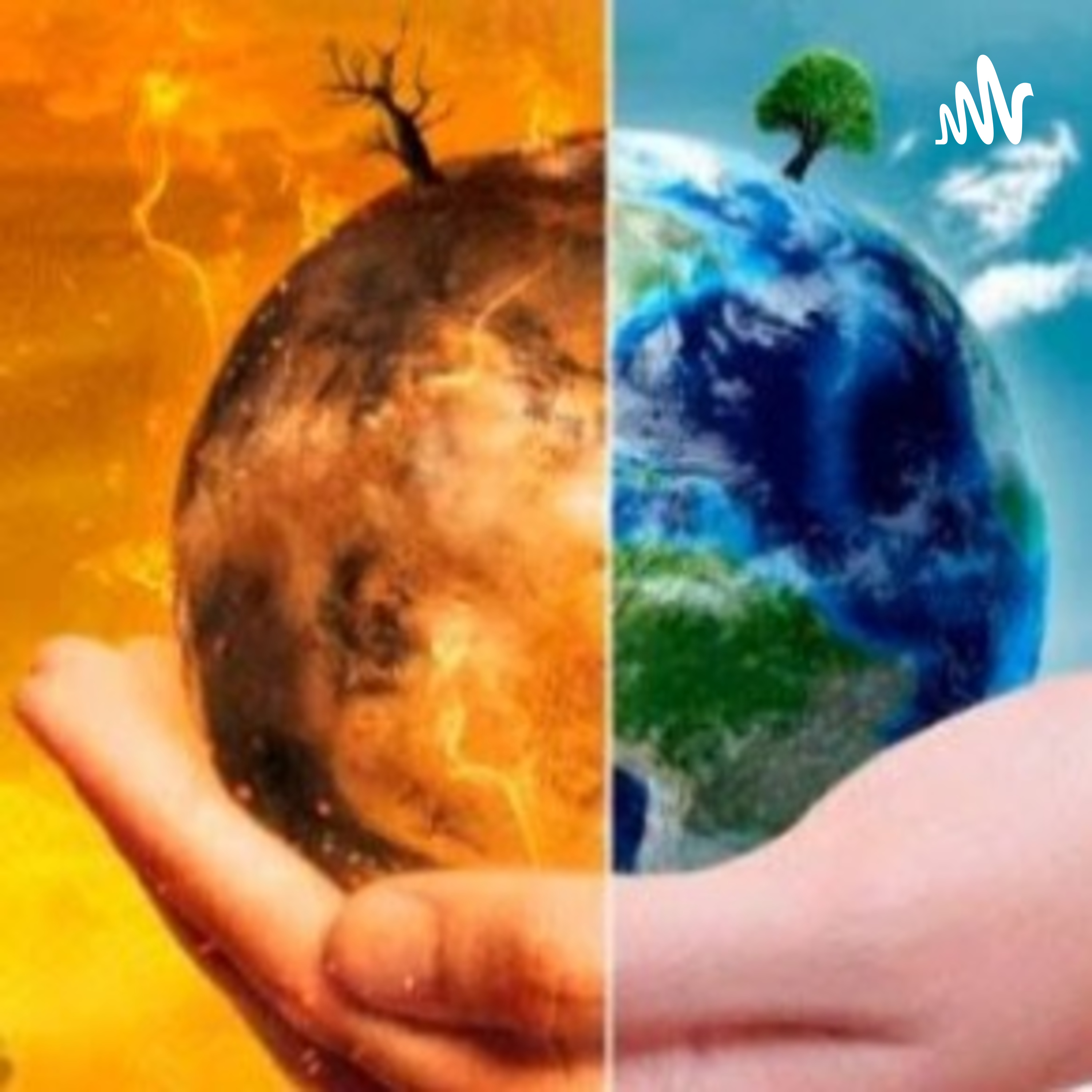 Preguntas Cambio Climatico