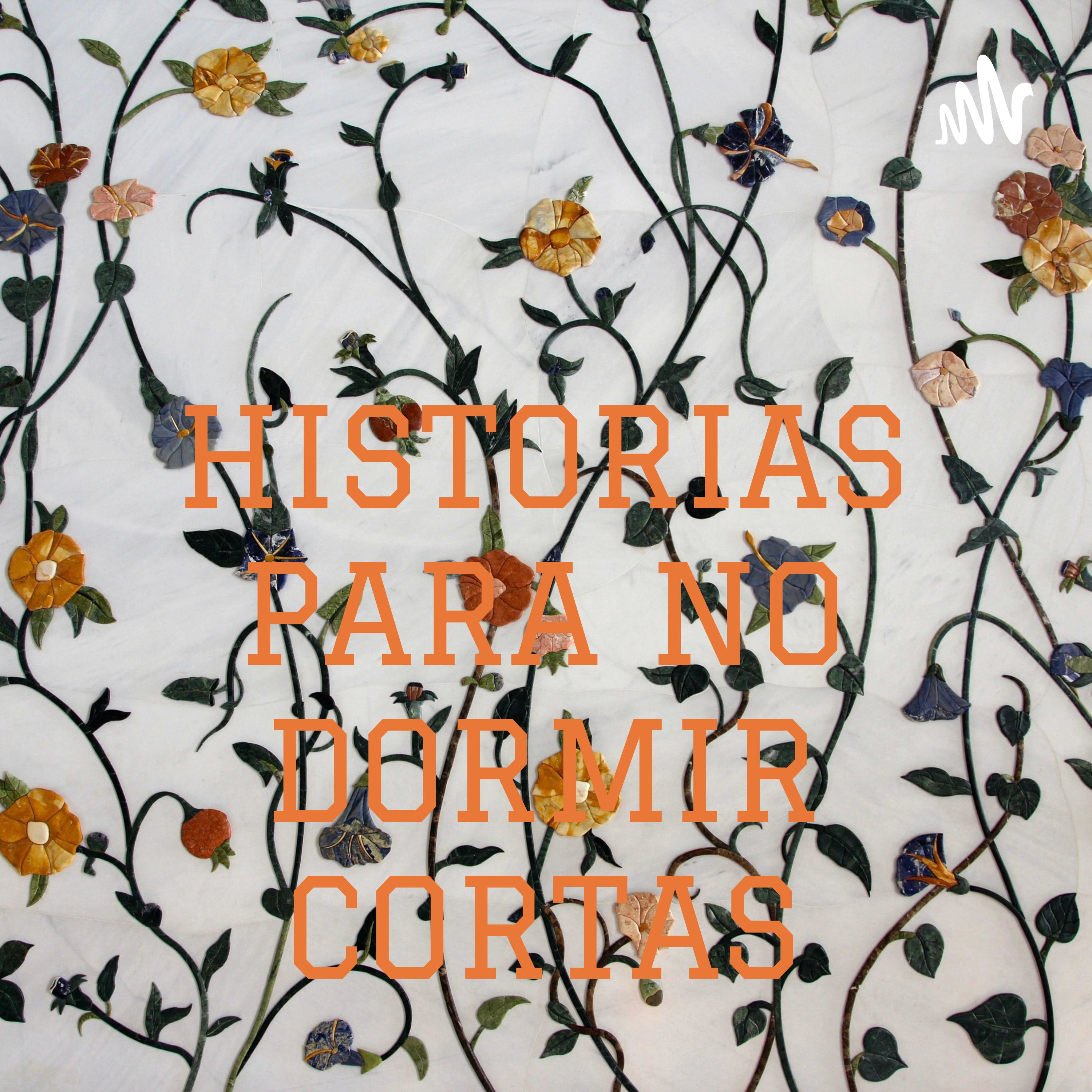 HISTORIAS PARA NO DORMIR CORTAS