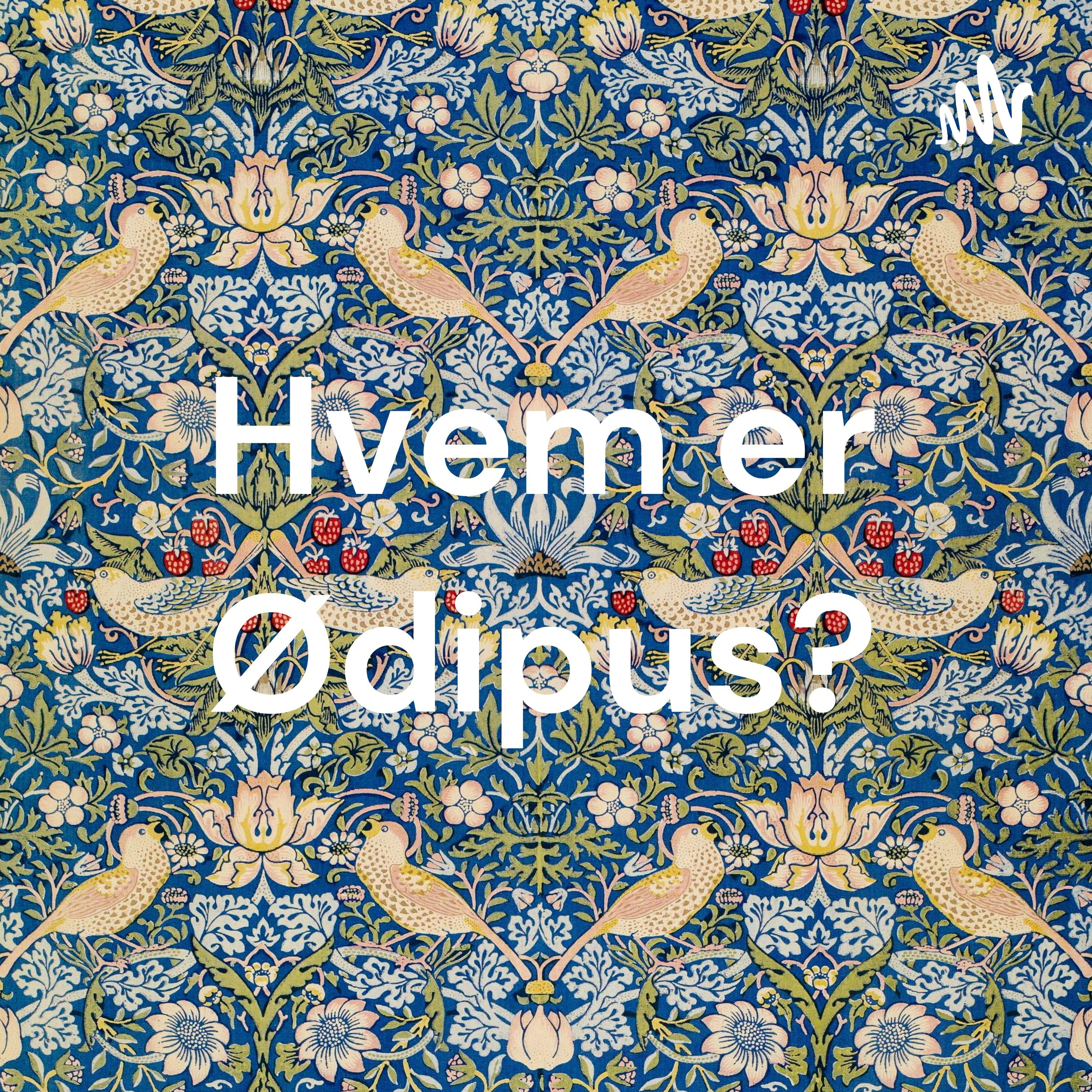 Hvem er Ødipus? af Marie Hedegaard