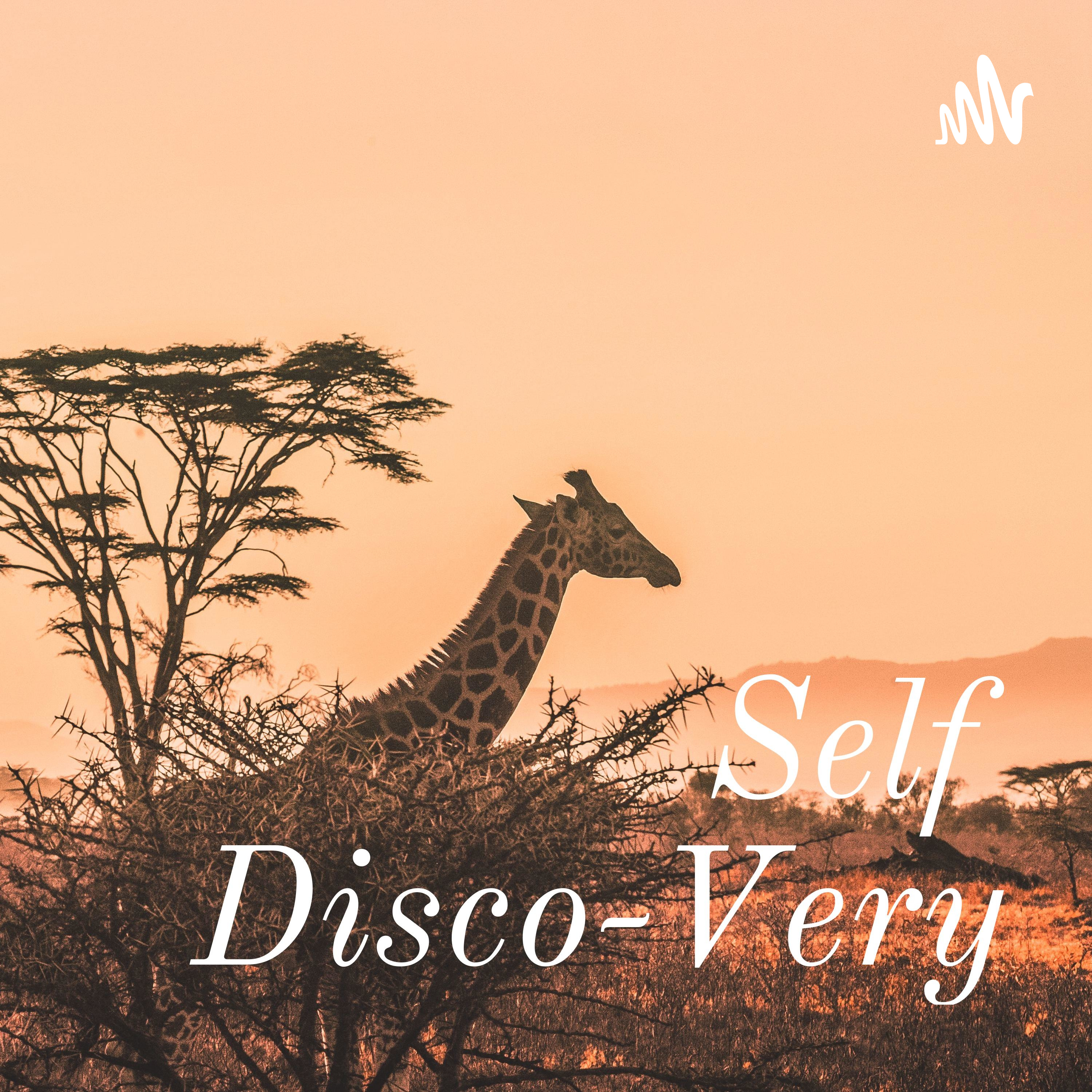 Self Disco-Very