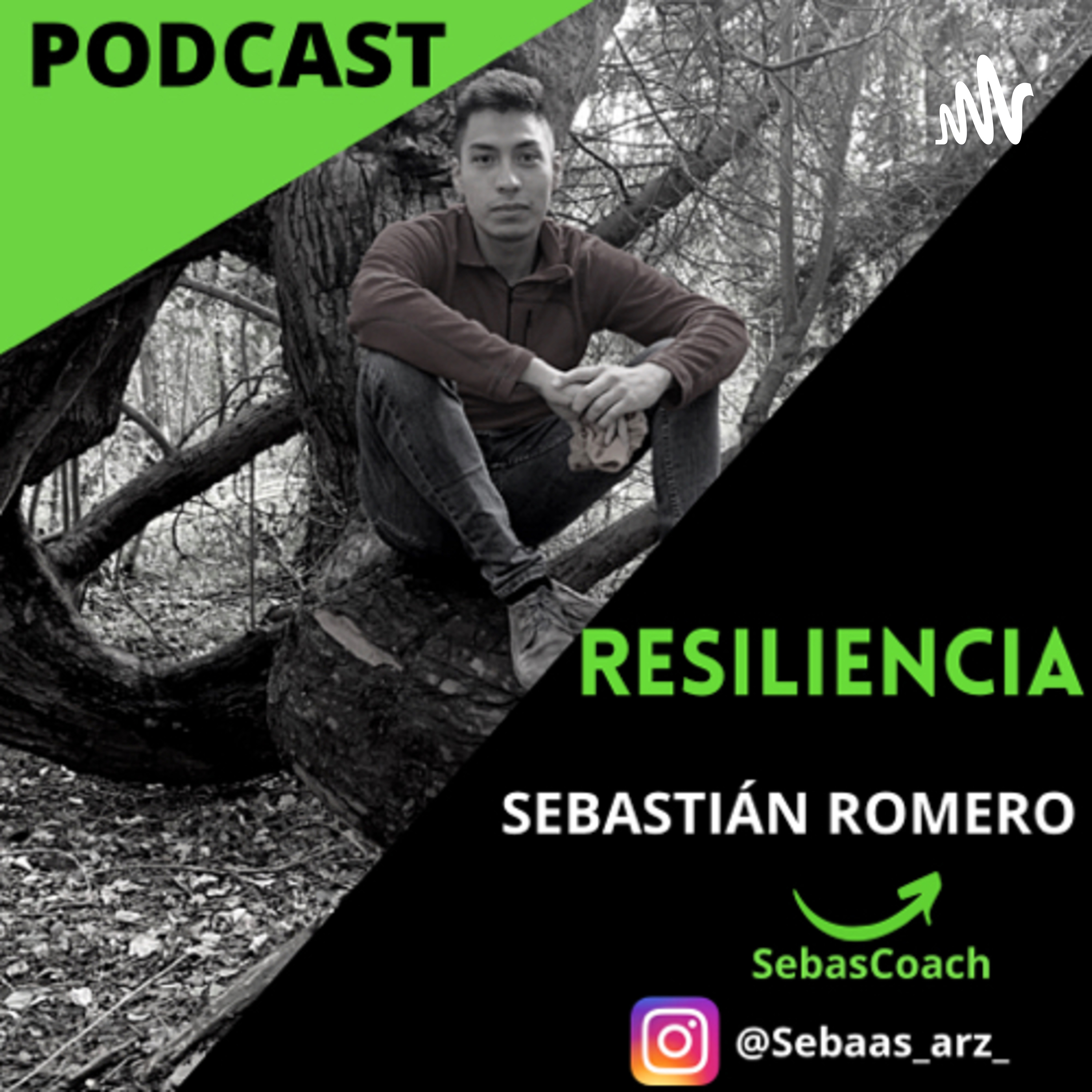 Resiliencia