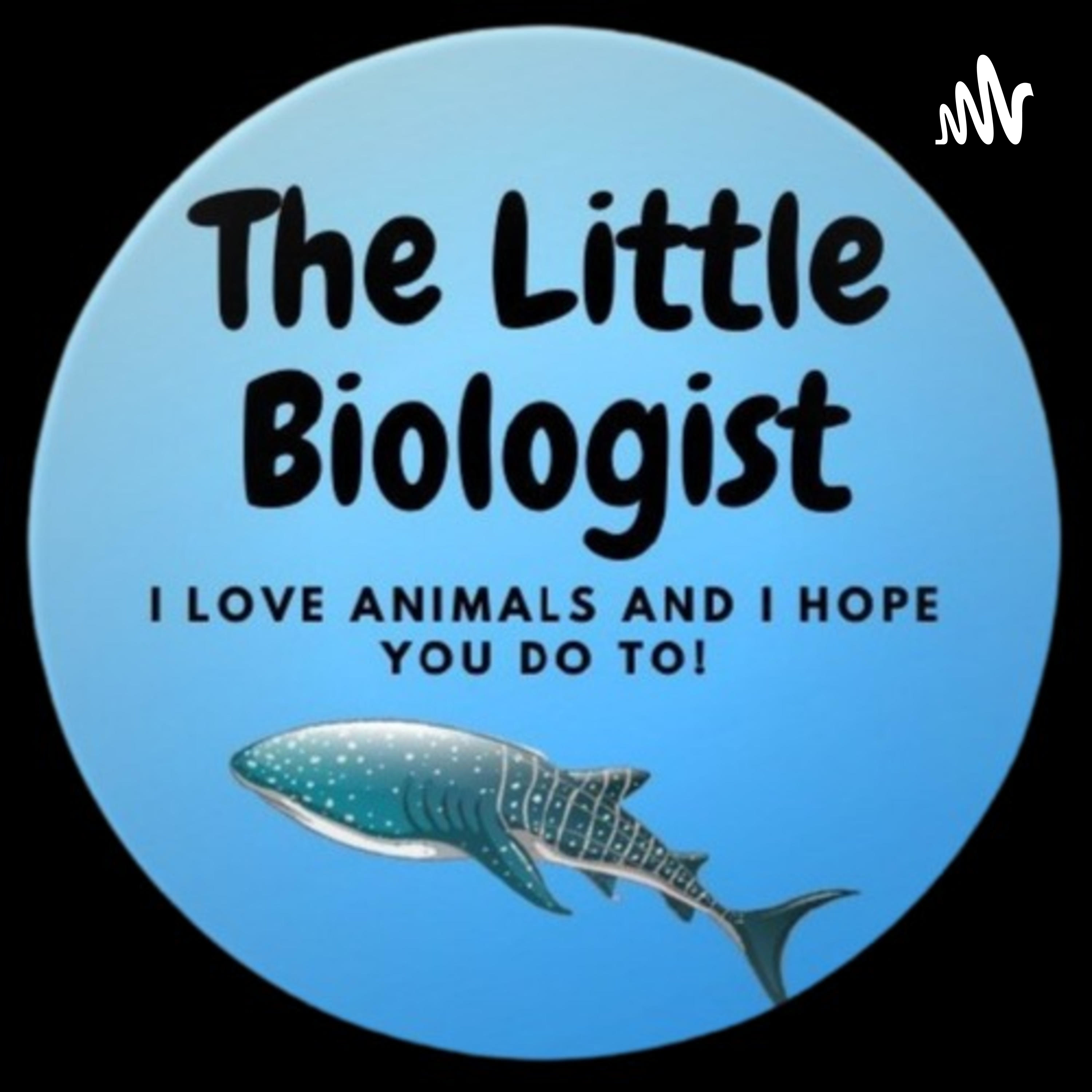 The Little Biologist