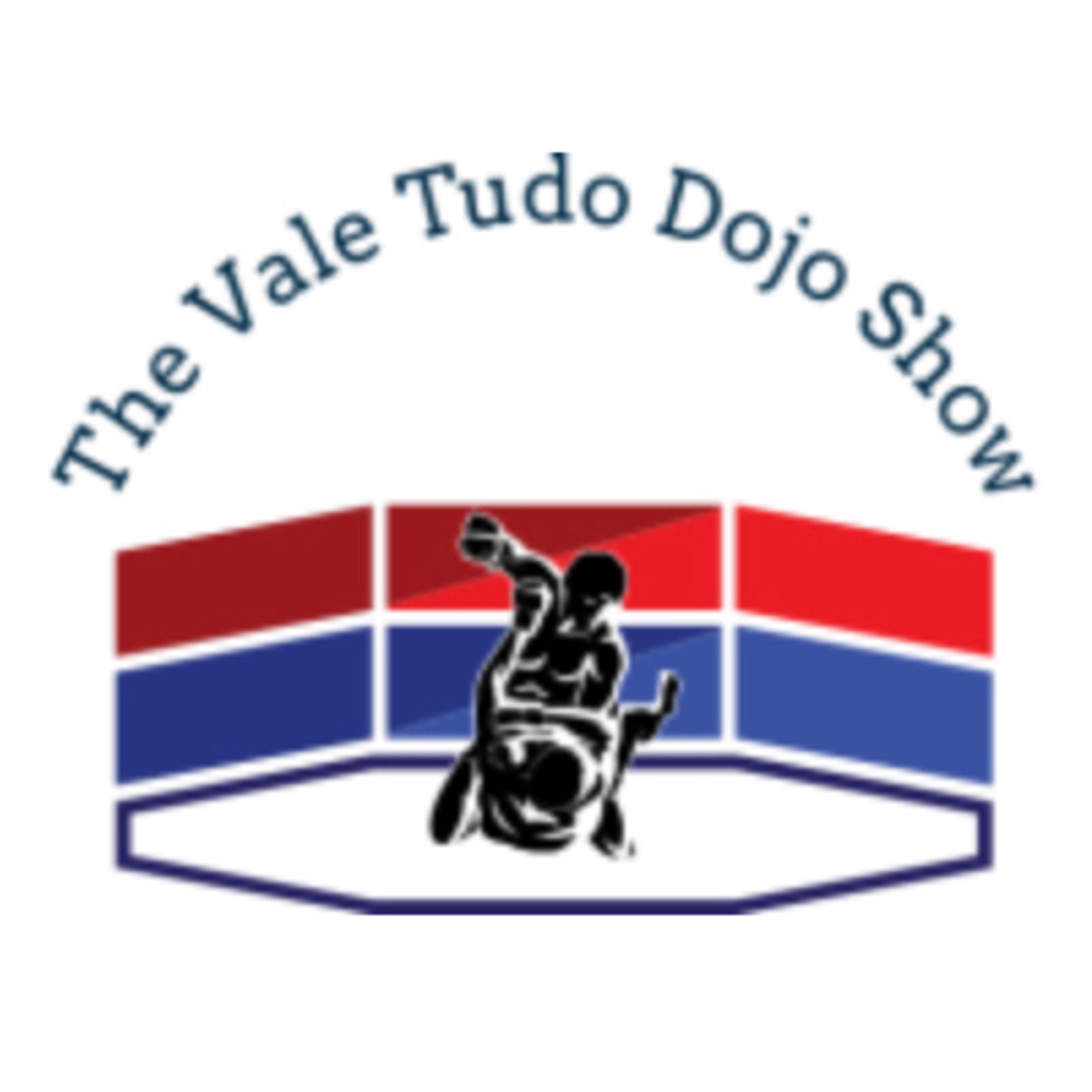 The Vale Tudo Dojo MMA Show