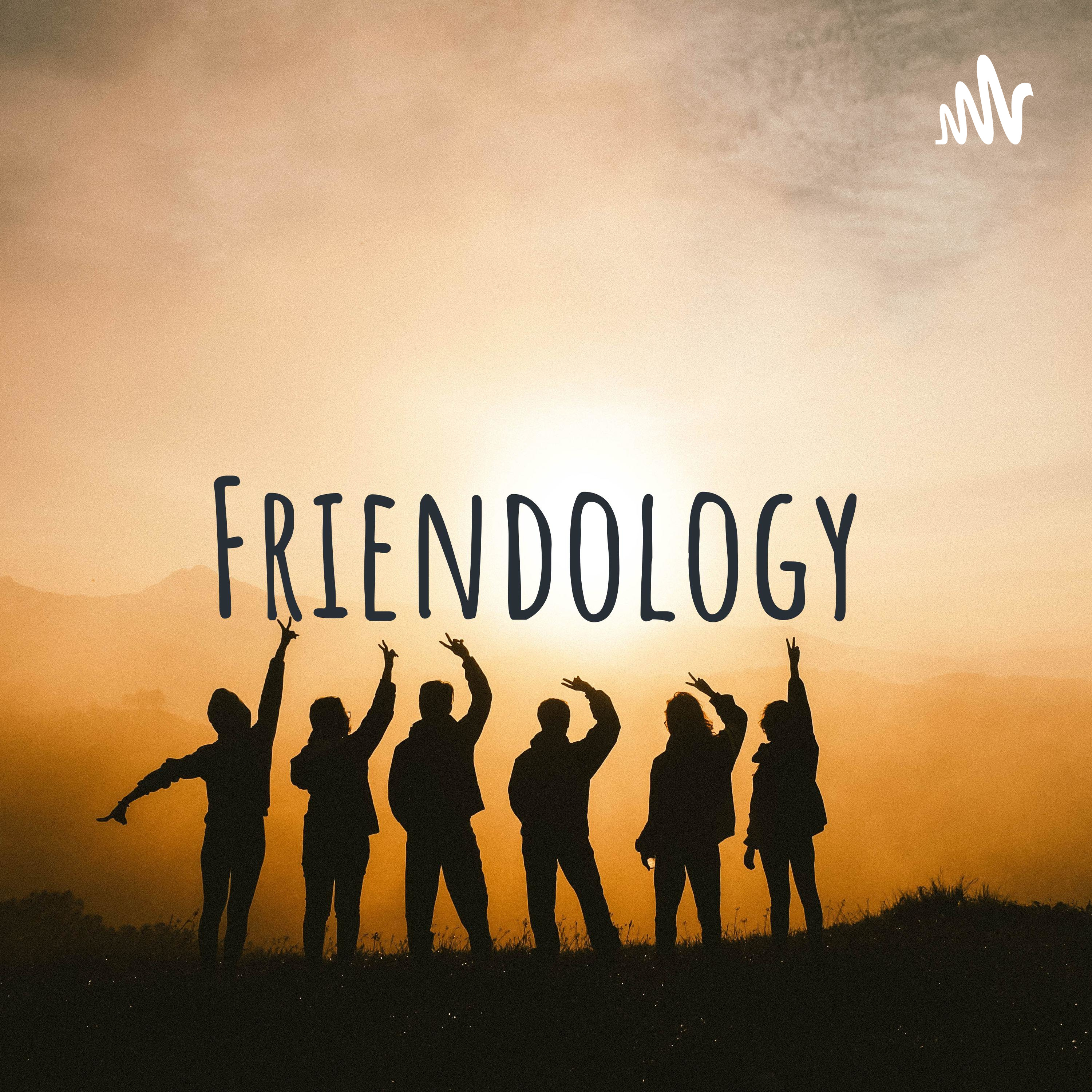 Friendology