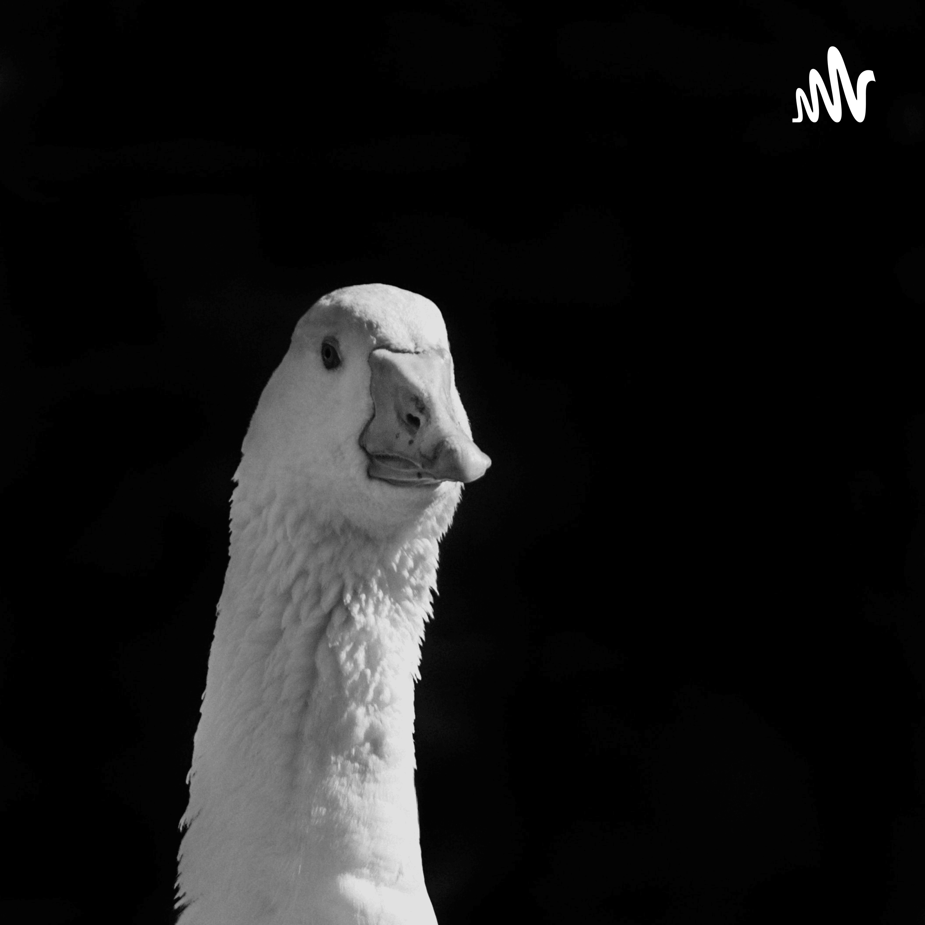 Patohispanistas - Locos Y Amenos