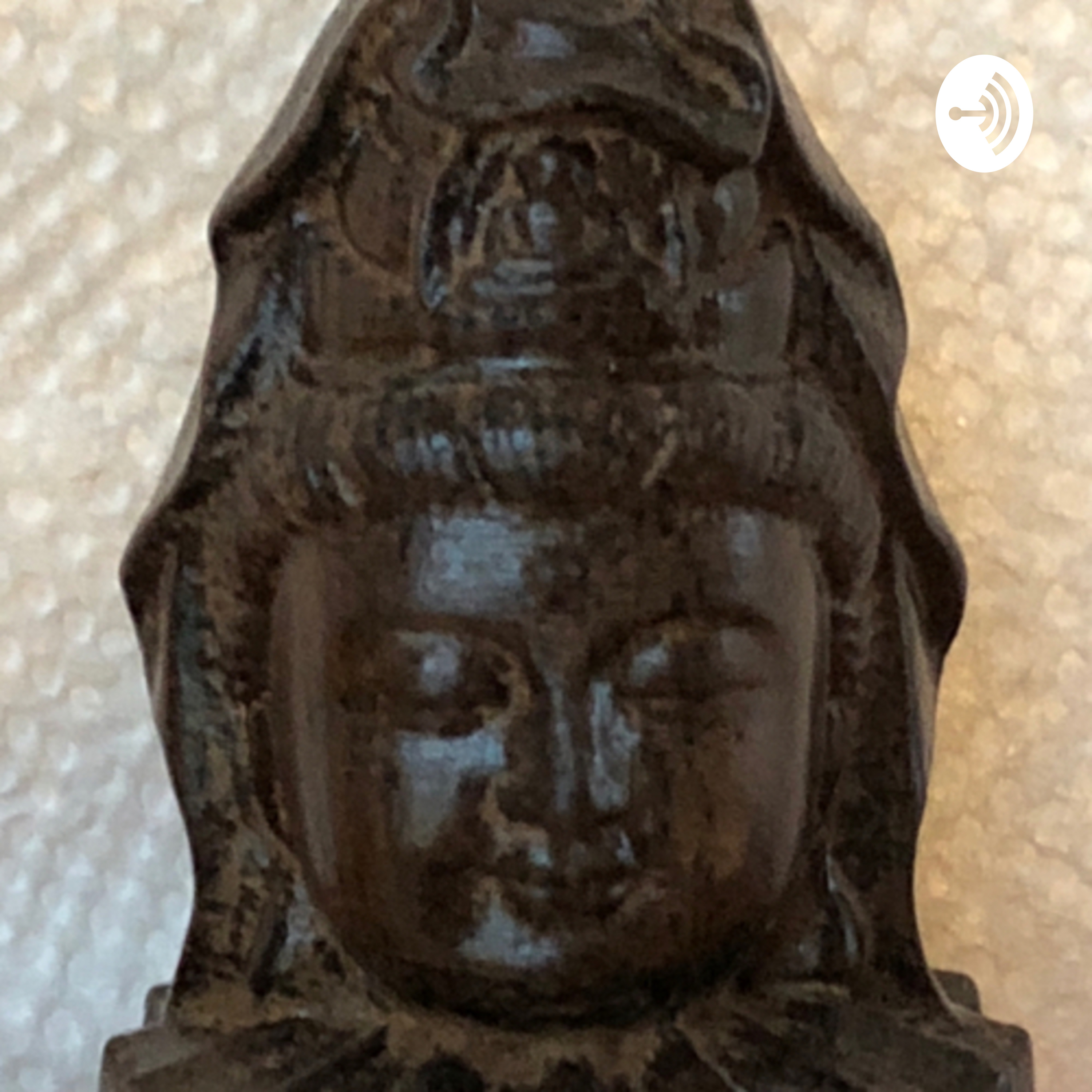 A Brief Introduction to Wellness As One