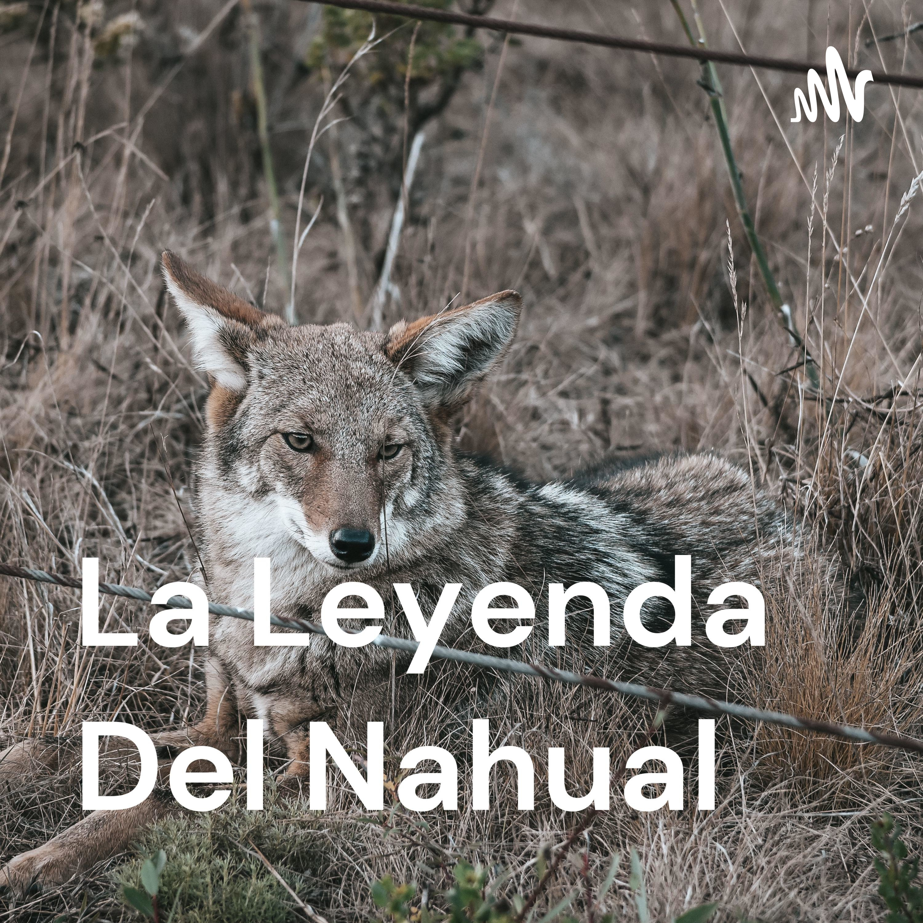 La Leyenda Del Nahual 