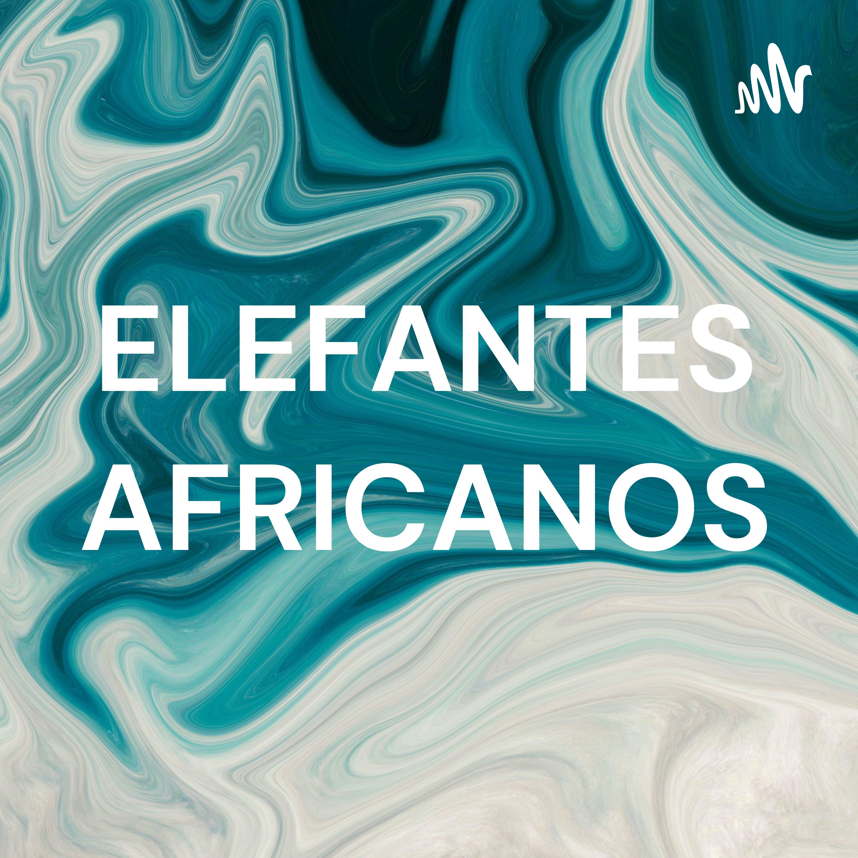 ELEFANTES AFRICANOS