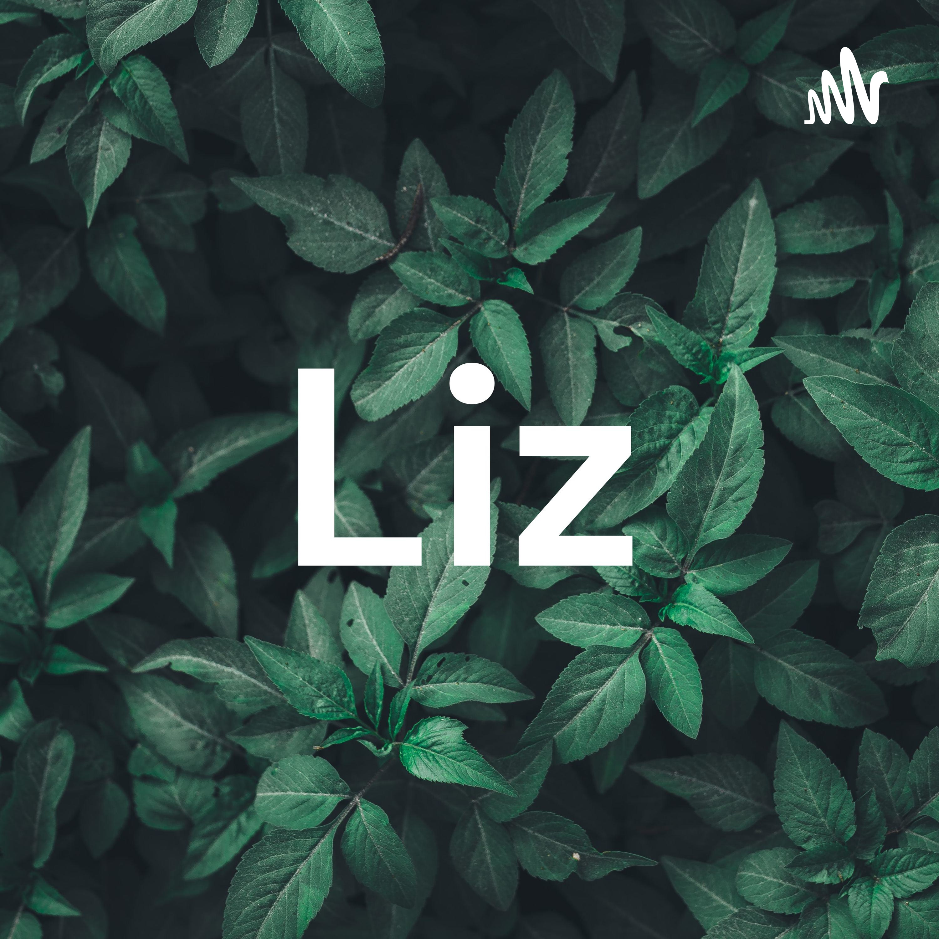 Liz cover art