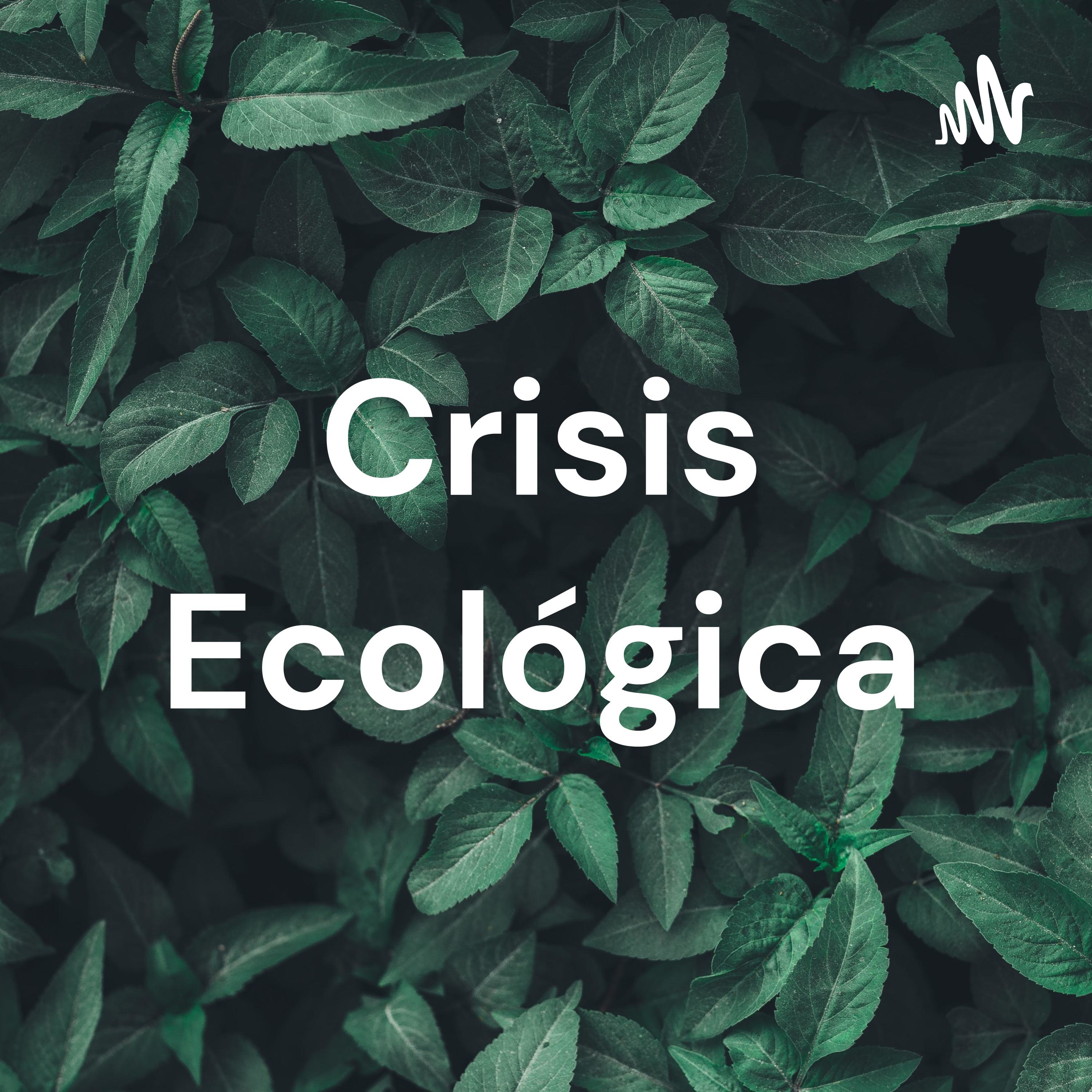 Crisis Ecológica
