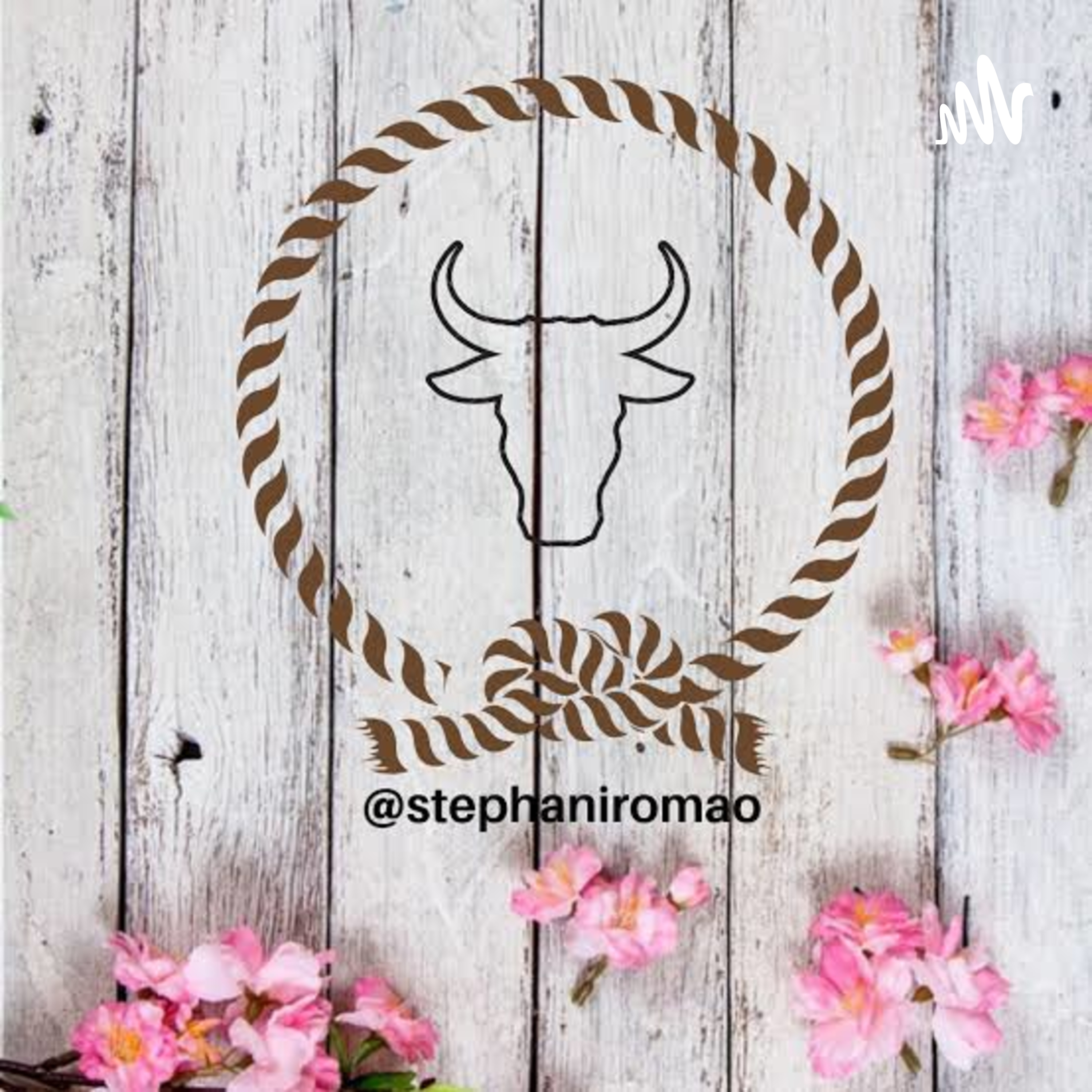 RODEIO💖 podcast artwork