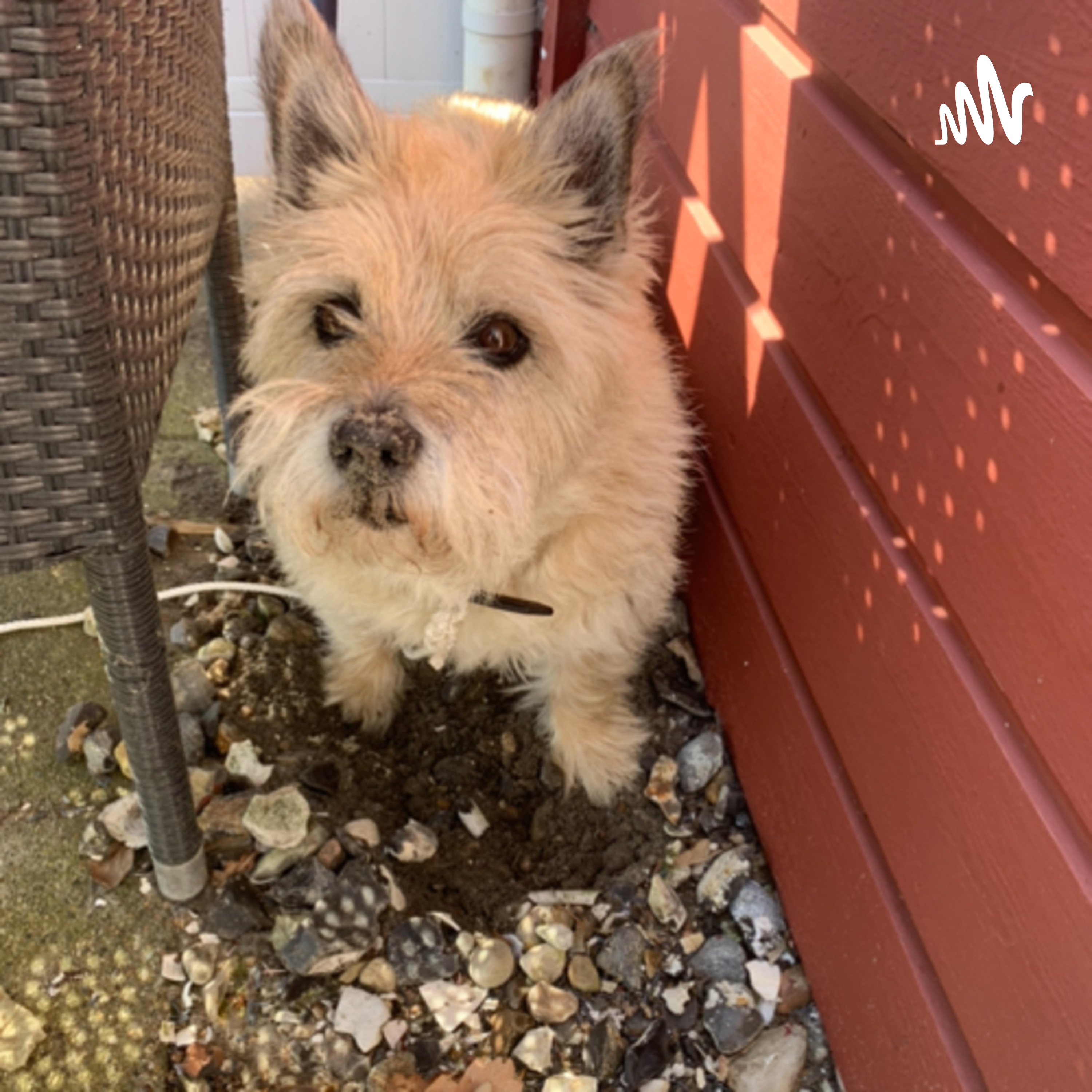 Annas corornahverdag af Anna Andersen