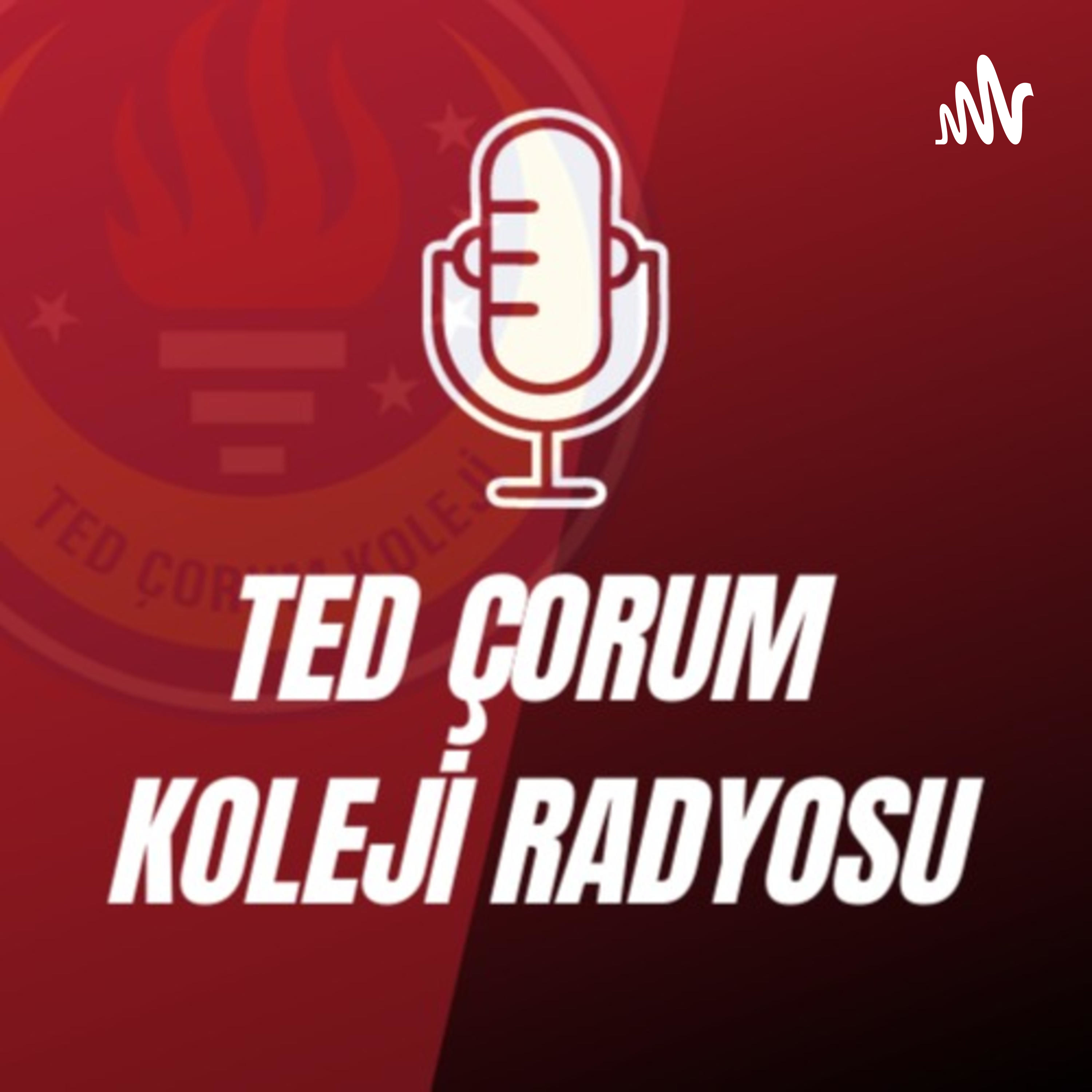 TED Çorum Koleji Radyosu