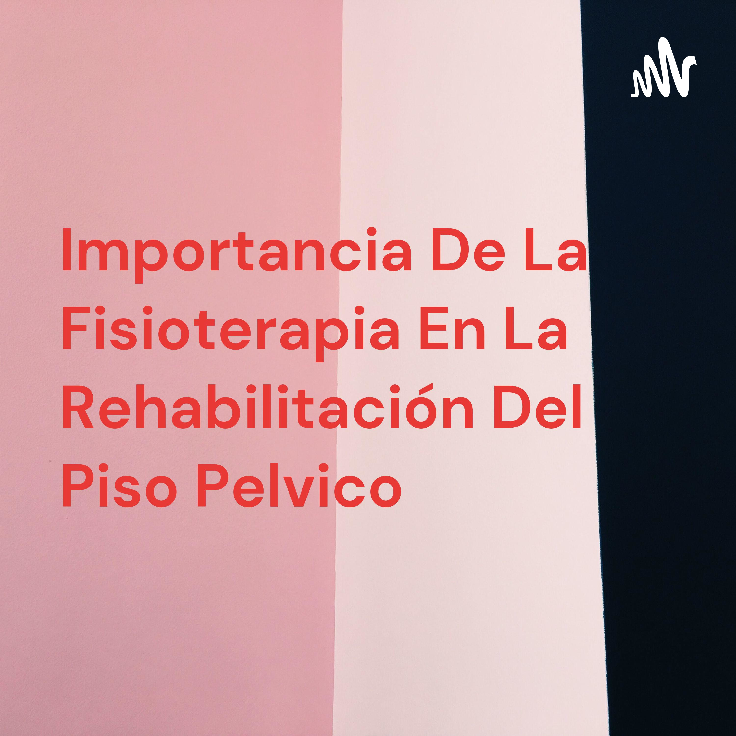 Importancia De La Fisioterapia En La Rehabilitación Del Piso Pelvico