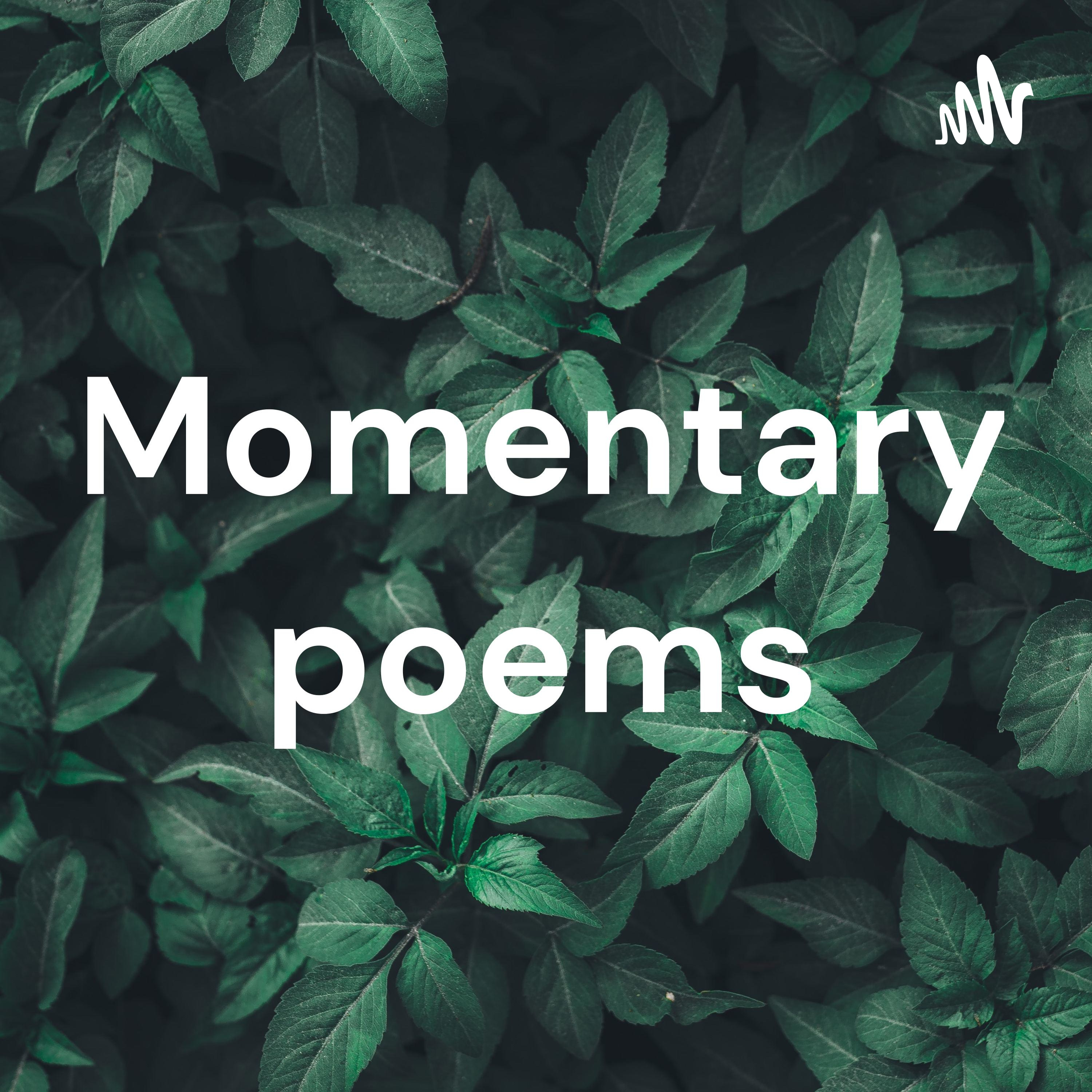 Momentary poems