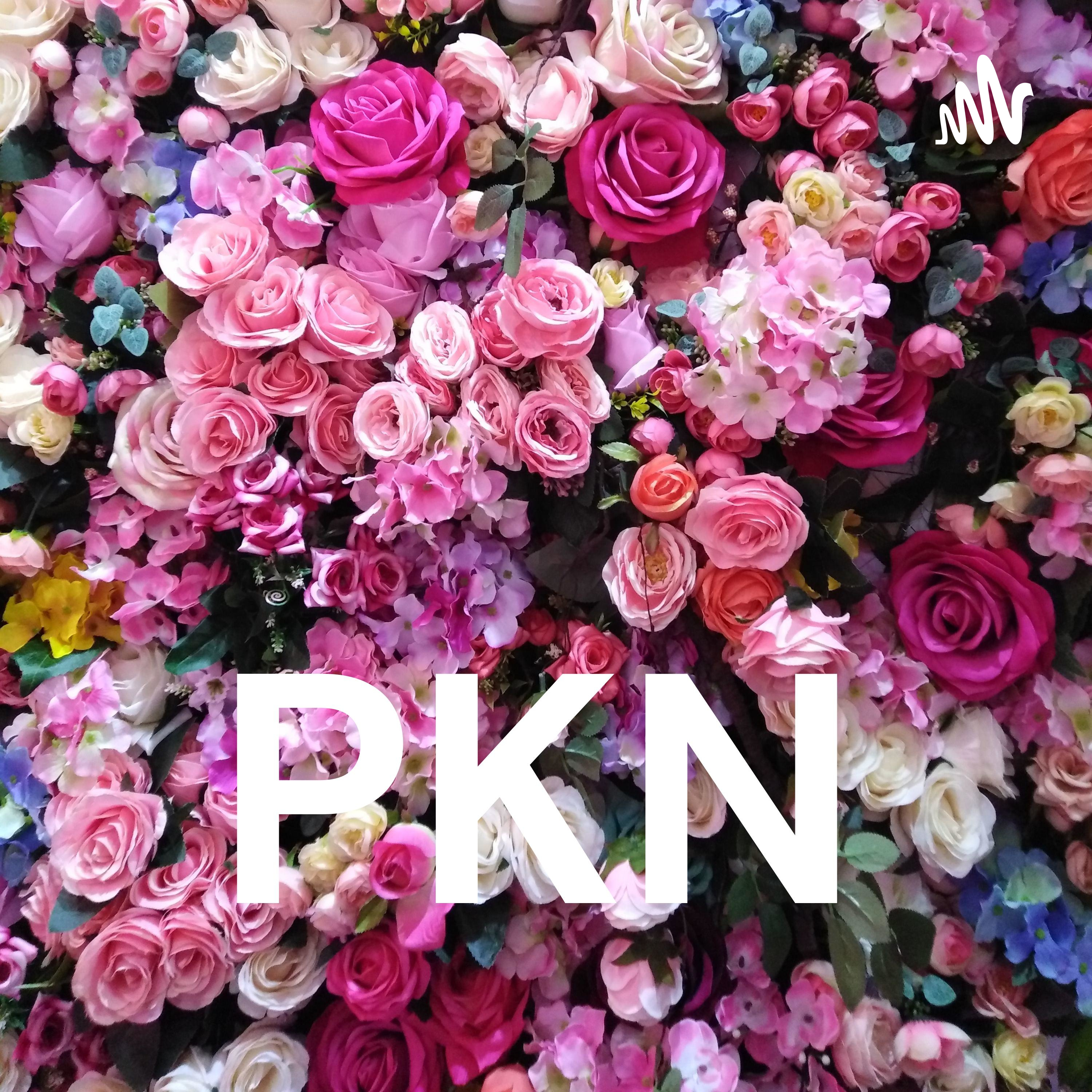 PKN
