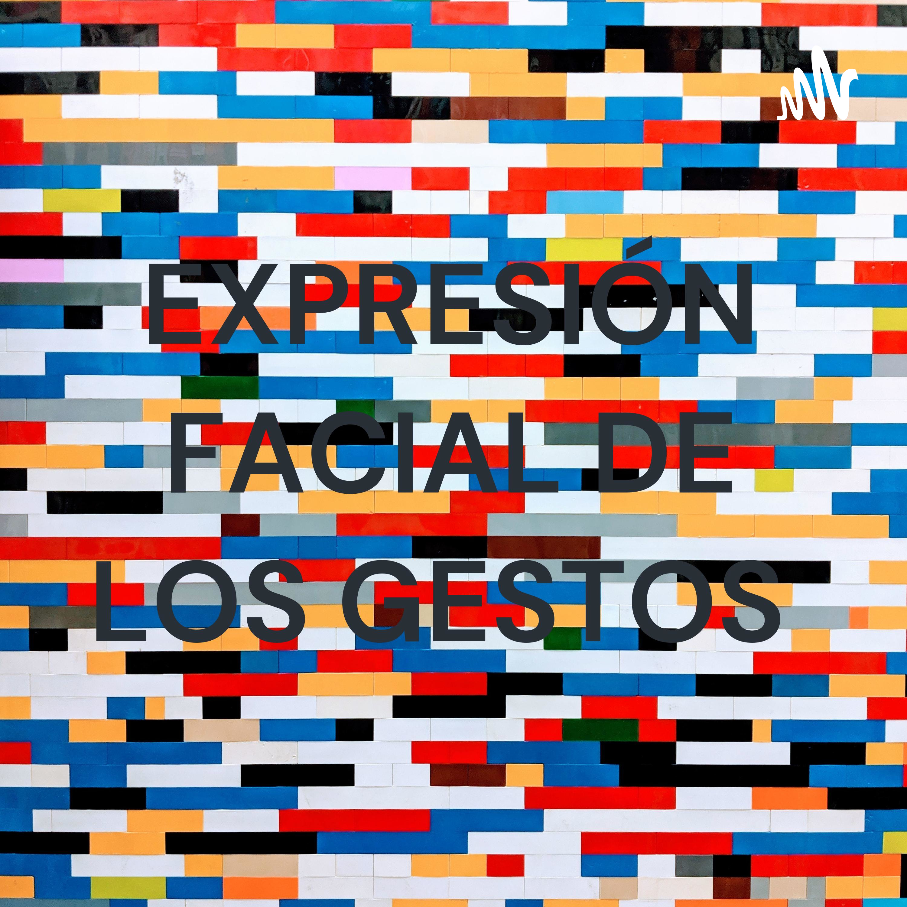 EXPRESIÓN FACIAL DE LOS GESTOS 