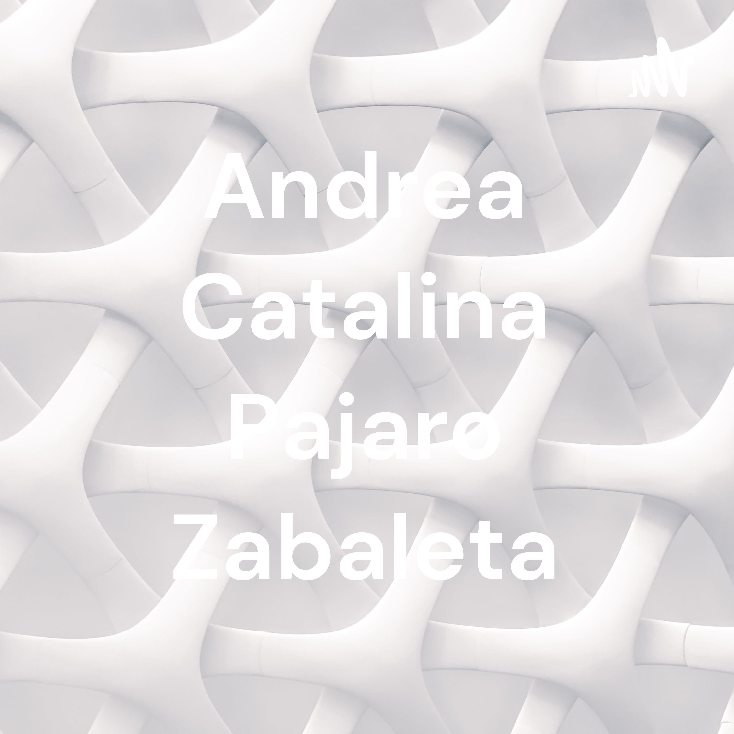 Andrea Catalina Pajaro Zabaleta cover art