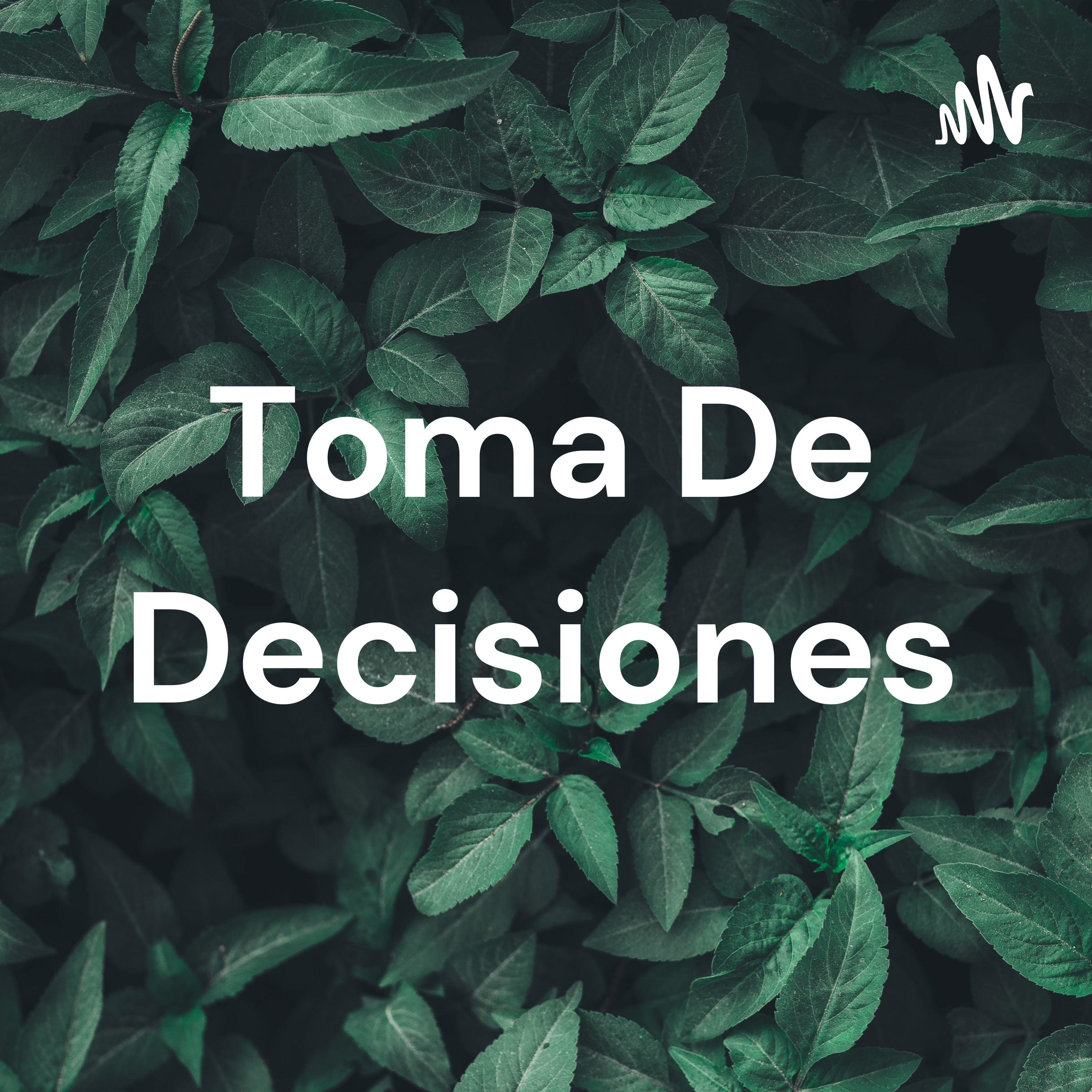 Toma De Decisiones cover art